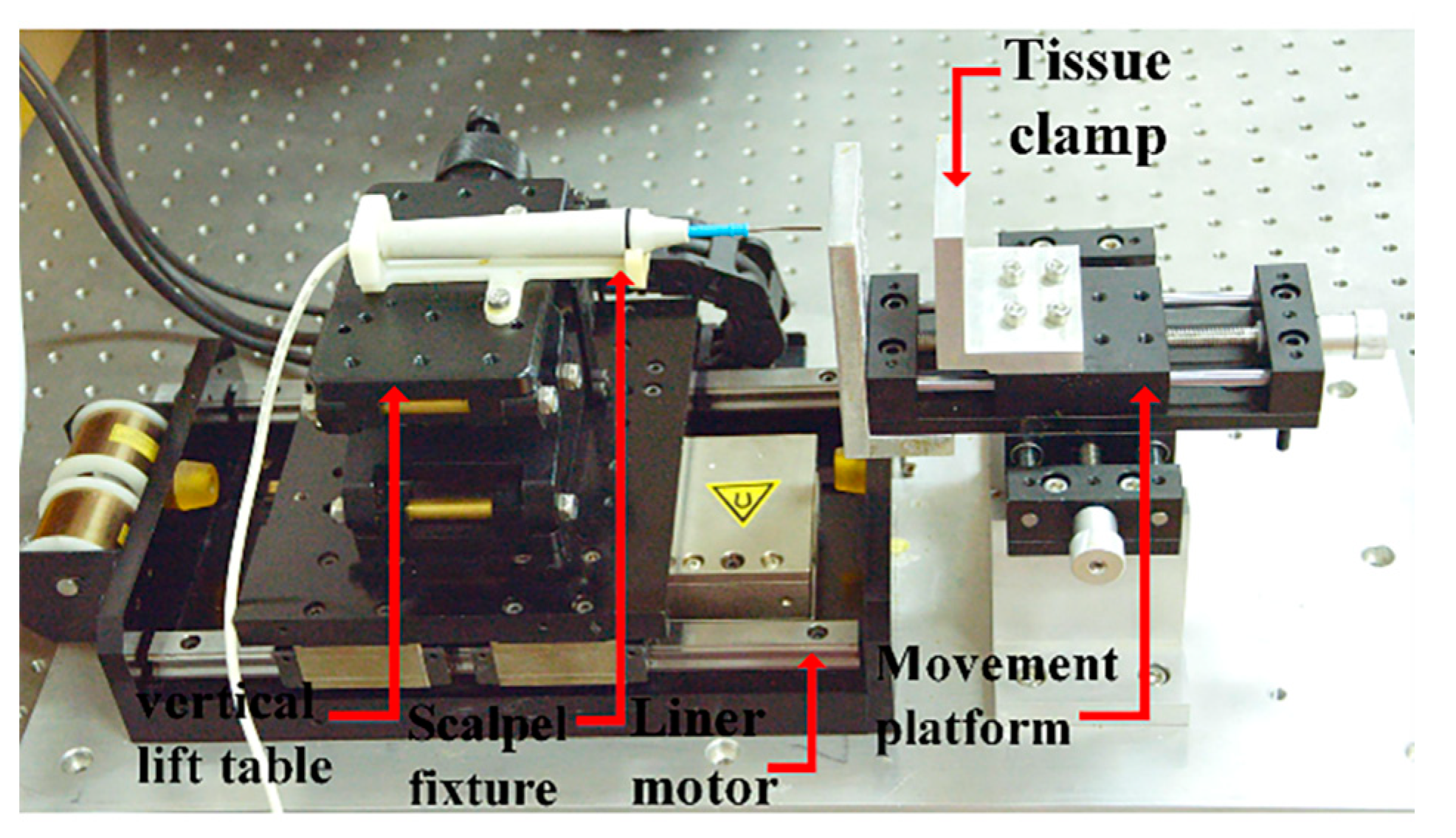 Coatings 10 00596 g002