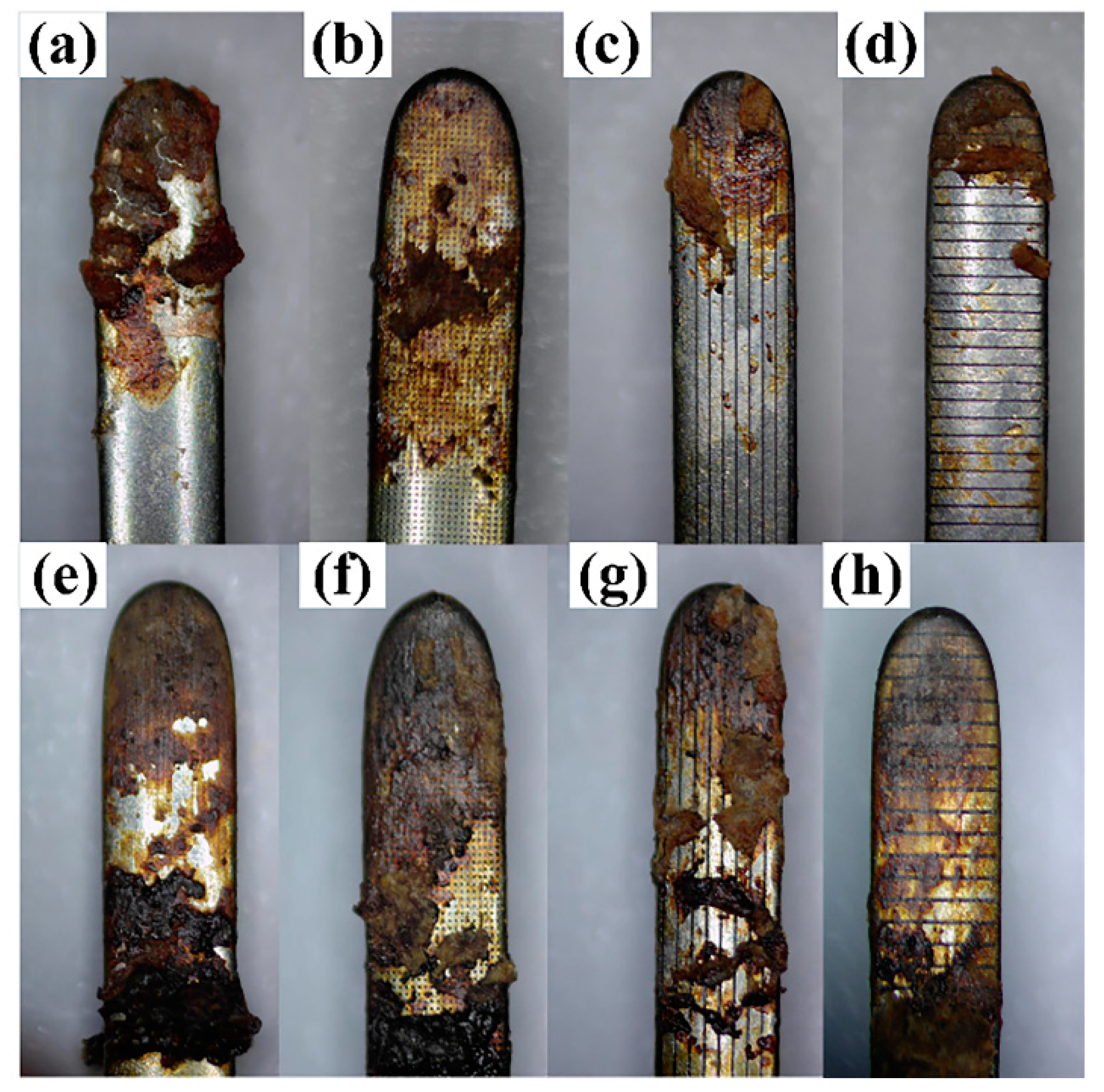 Coatings 10 00596 g004
