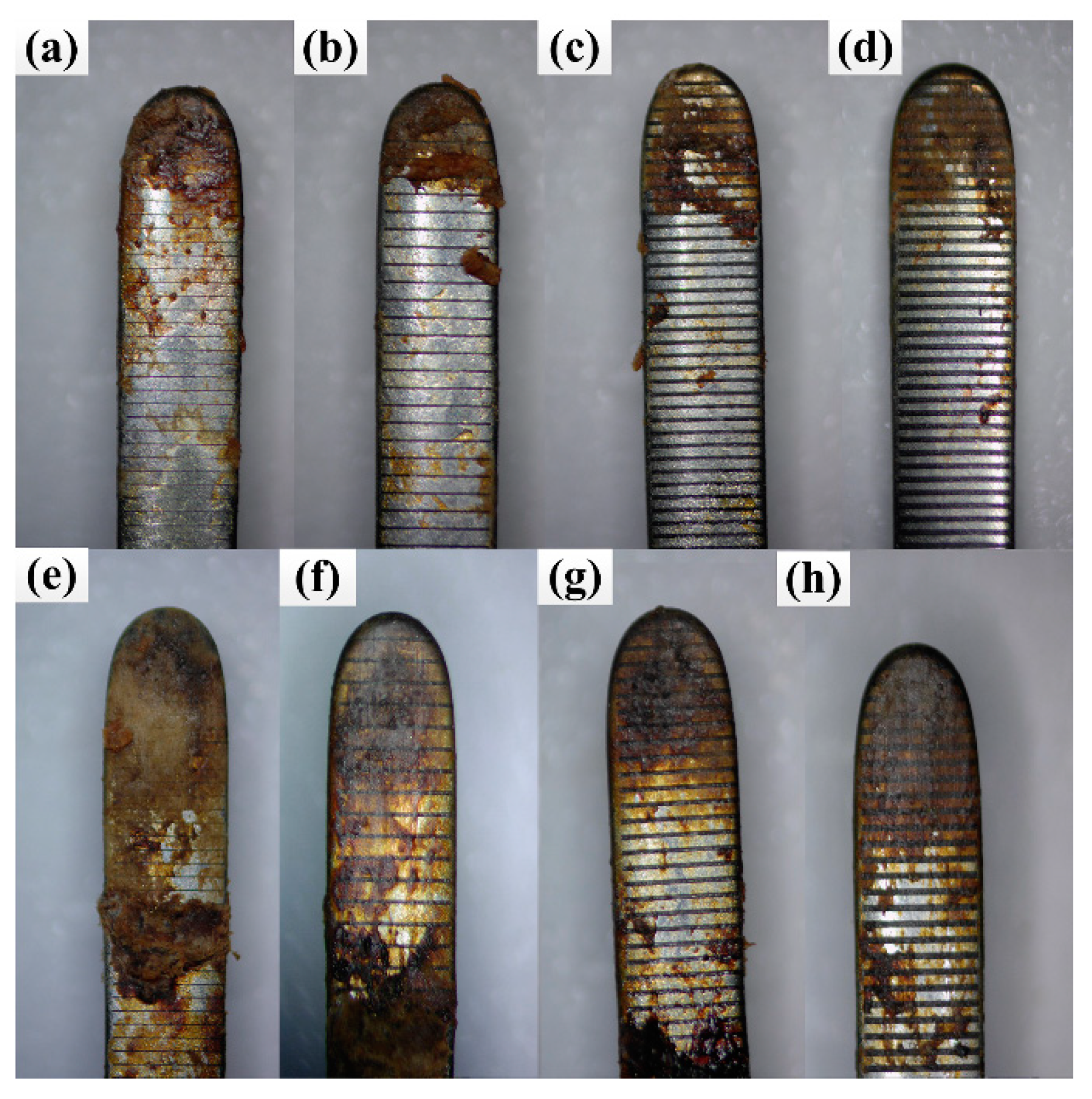 Coatings 10 00596 g006