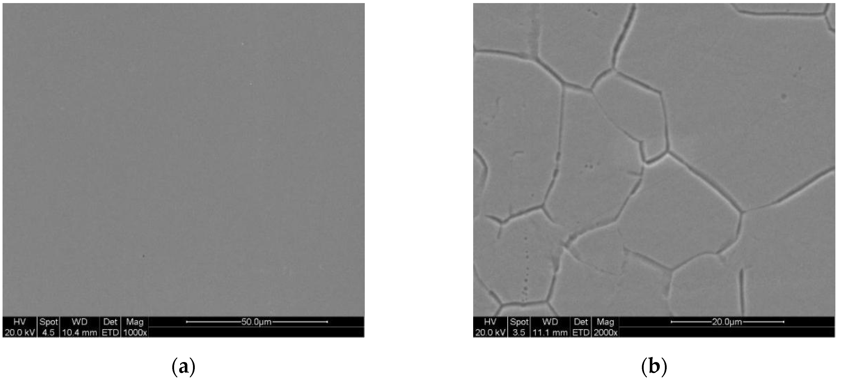 Coatings 10 00598 g008a Coatings 10 00598 g008a