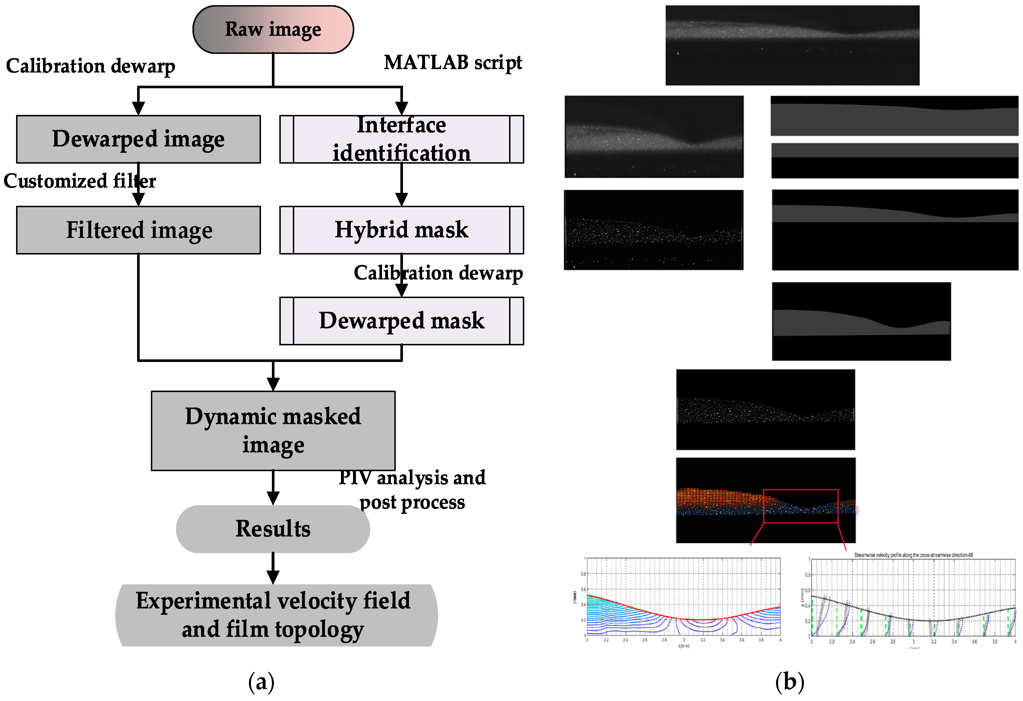 Coatings 10 00599 g005