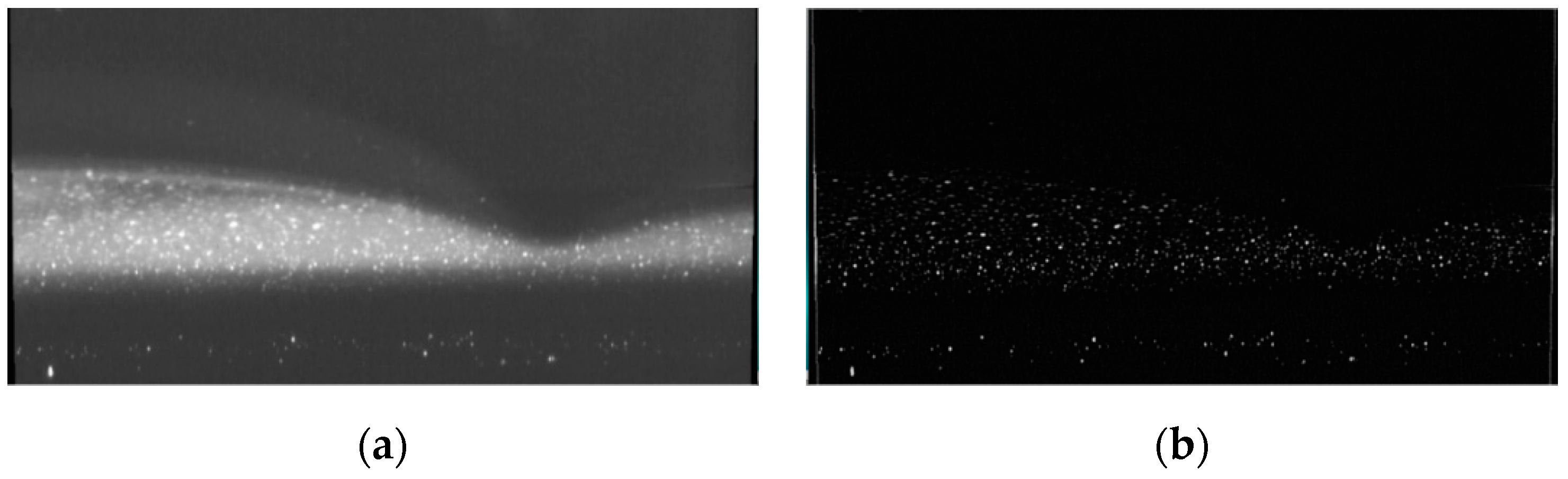 Coatings 10 00599 g008