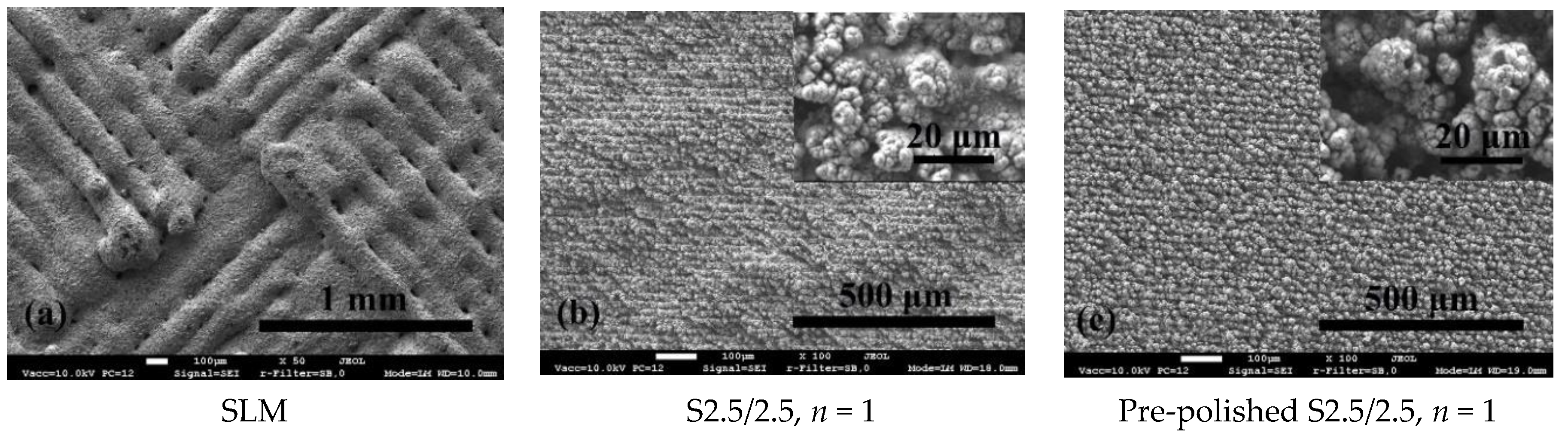 Coatings 10 00600 g003