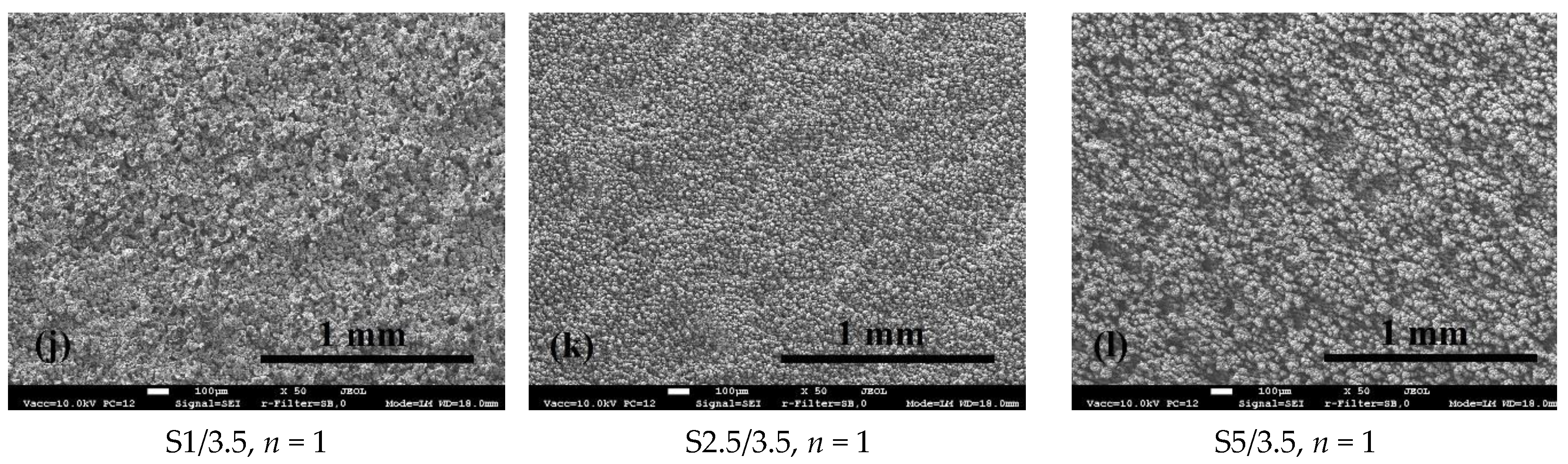 Coatings 10 00600 g005b