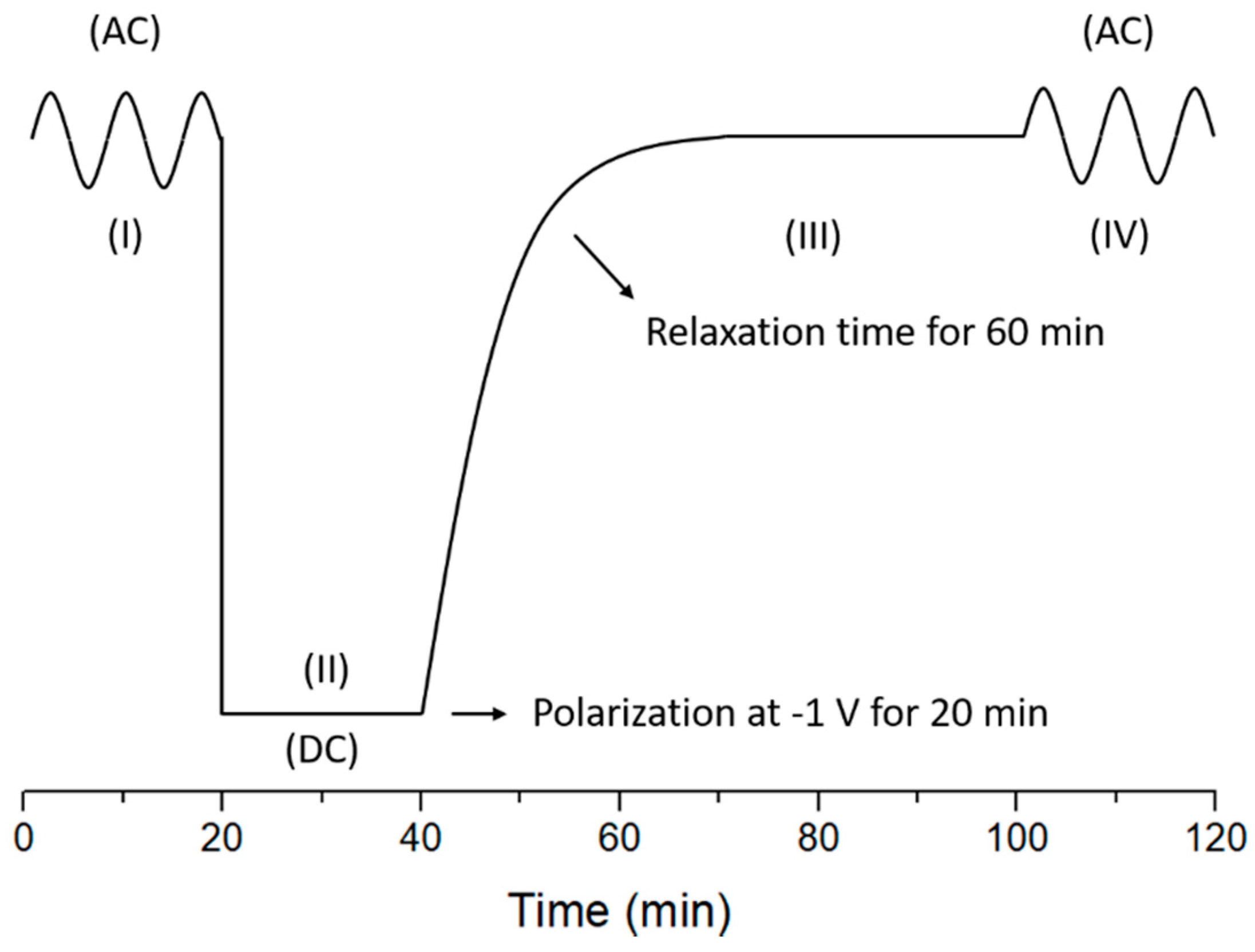 Coatings 10 00602 g001