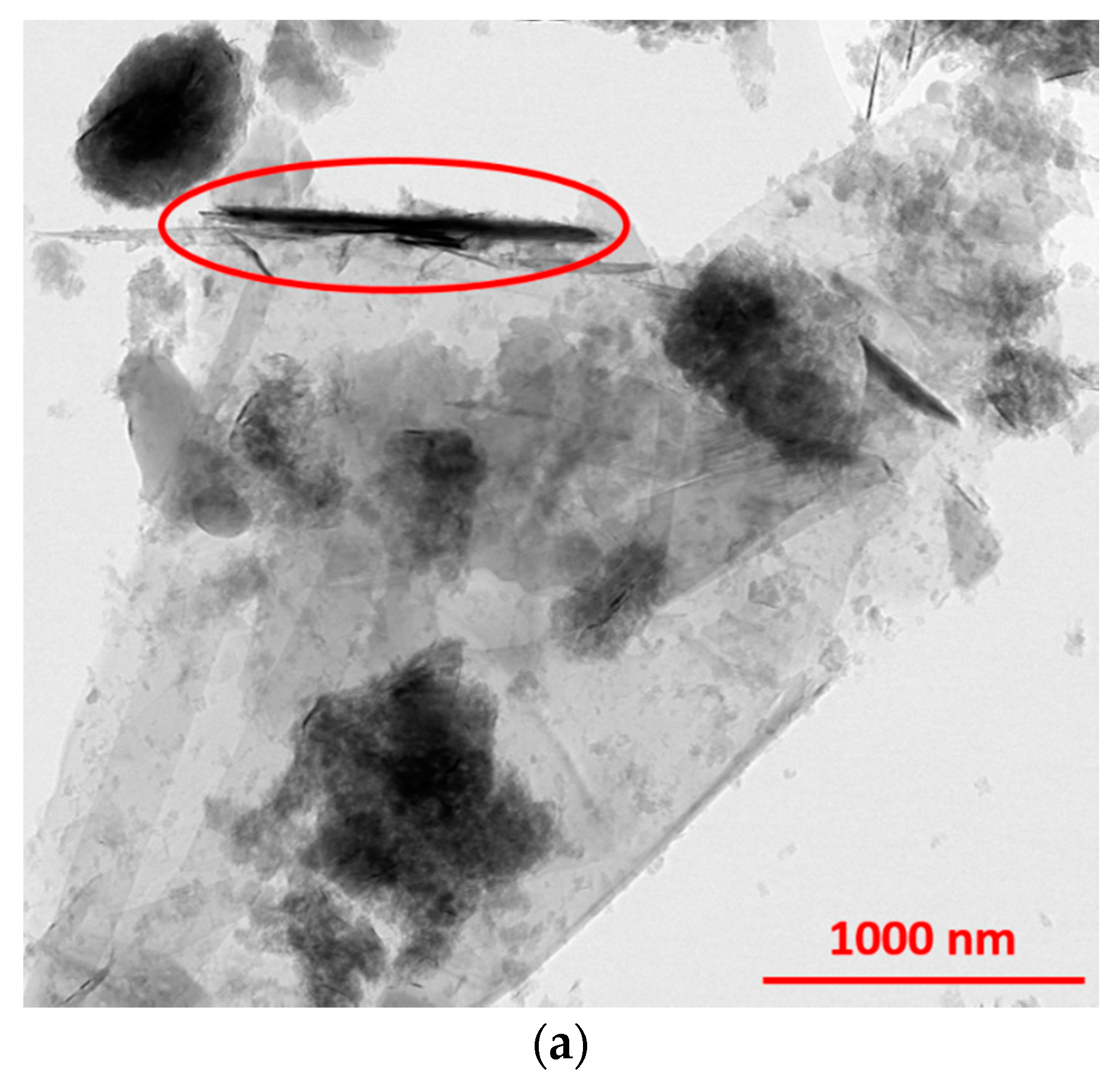 Coatings 10 00602 g002a