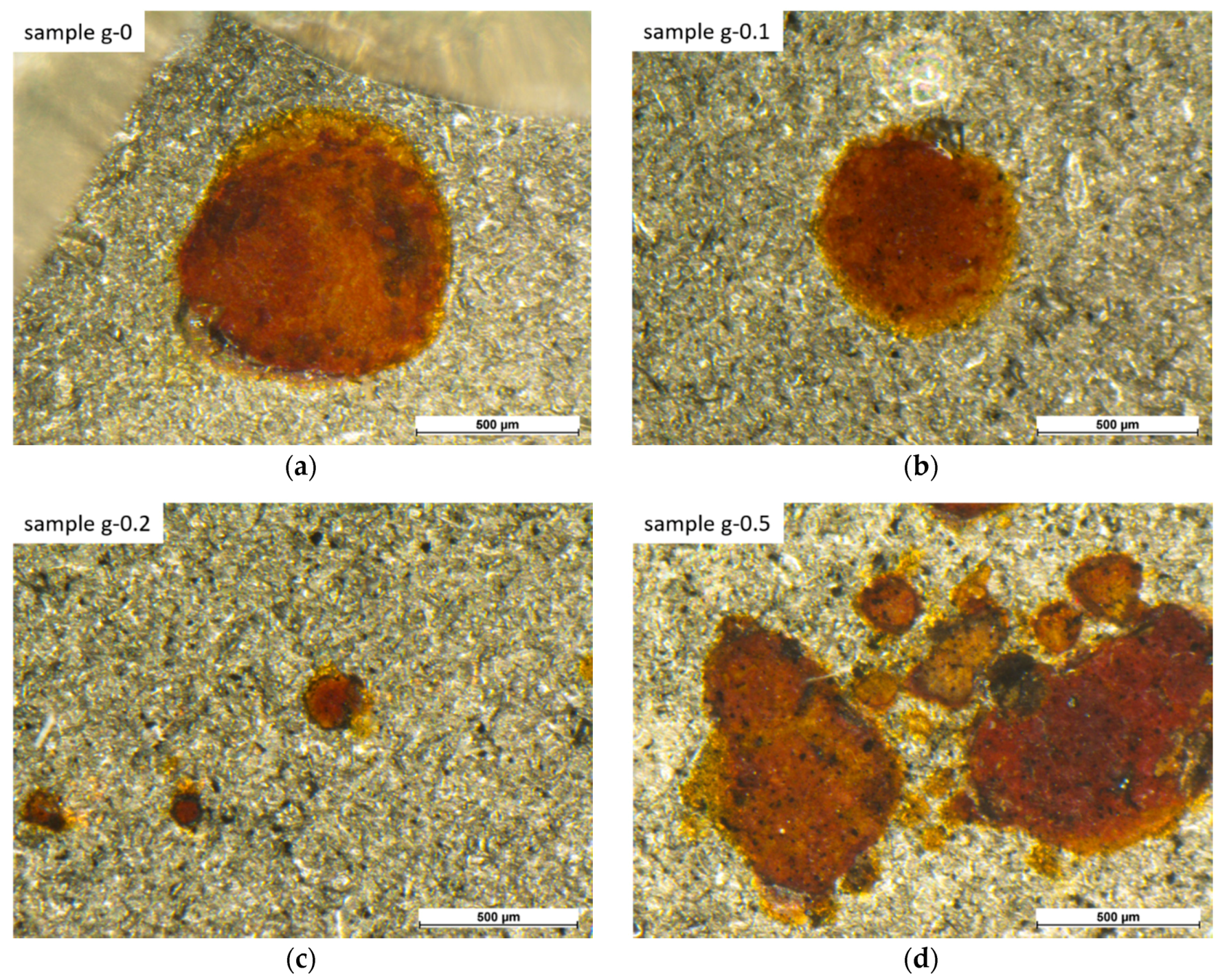 Coatings 10 00602 g005