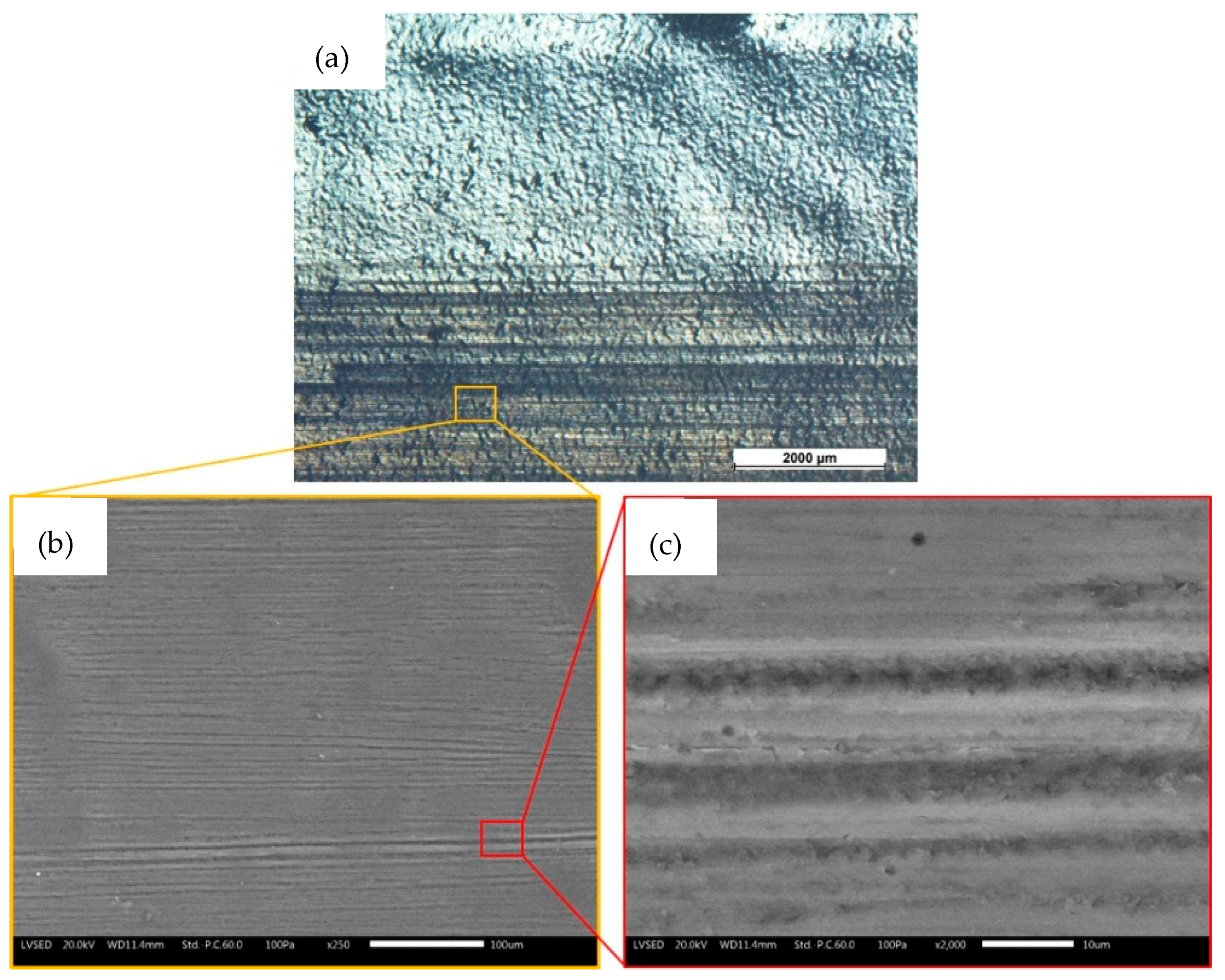 Coatings 10 00602 g014