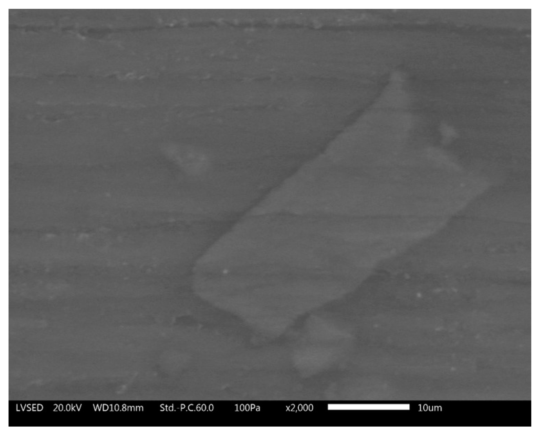 Coatings 10 00602 g015