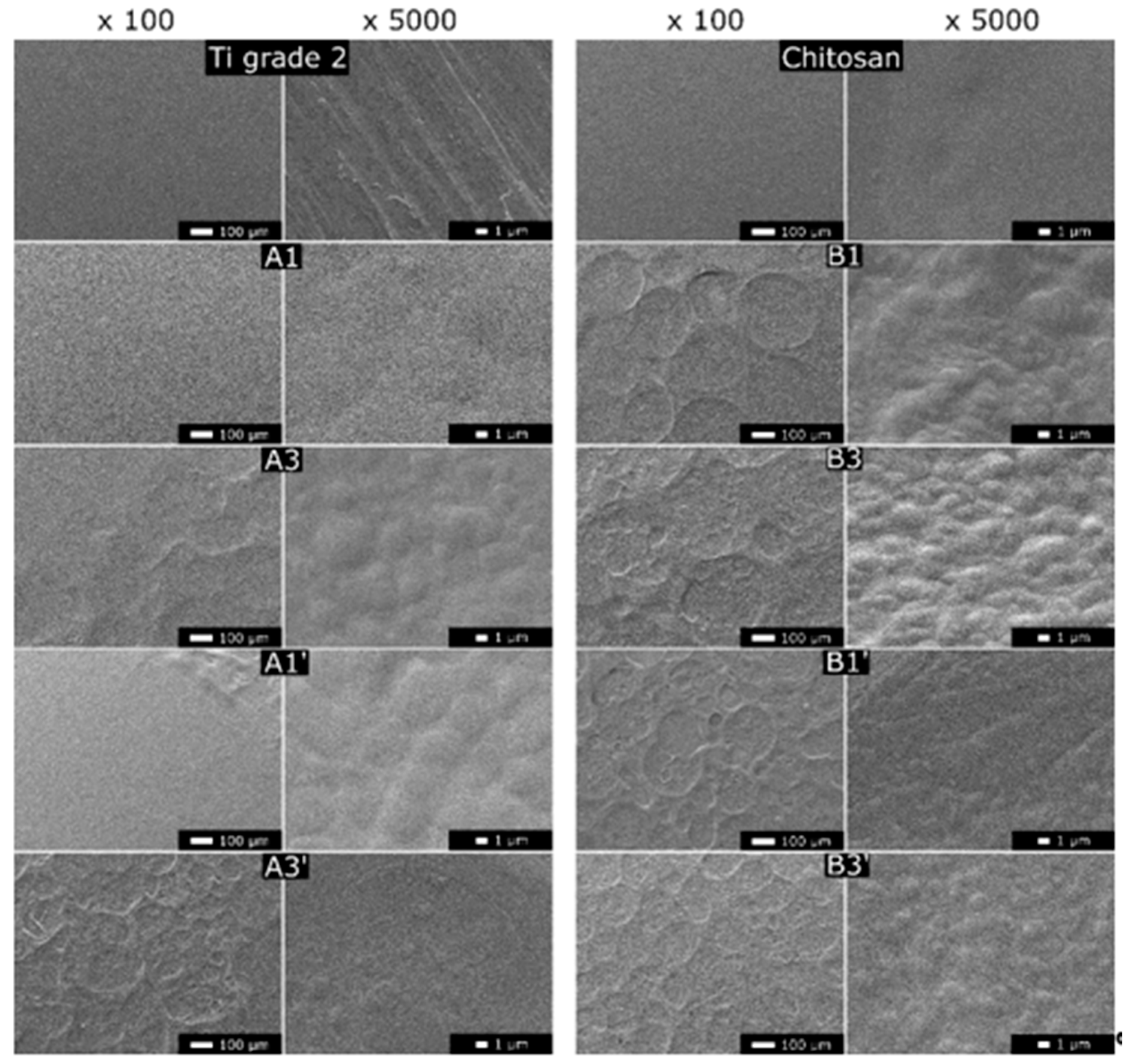 Coatings 10 00607 g001