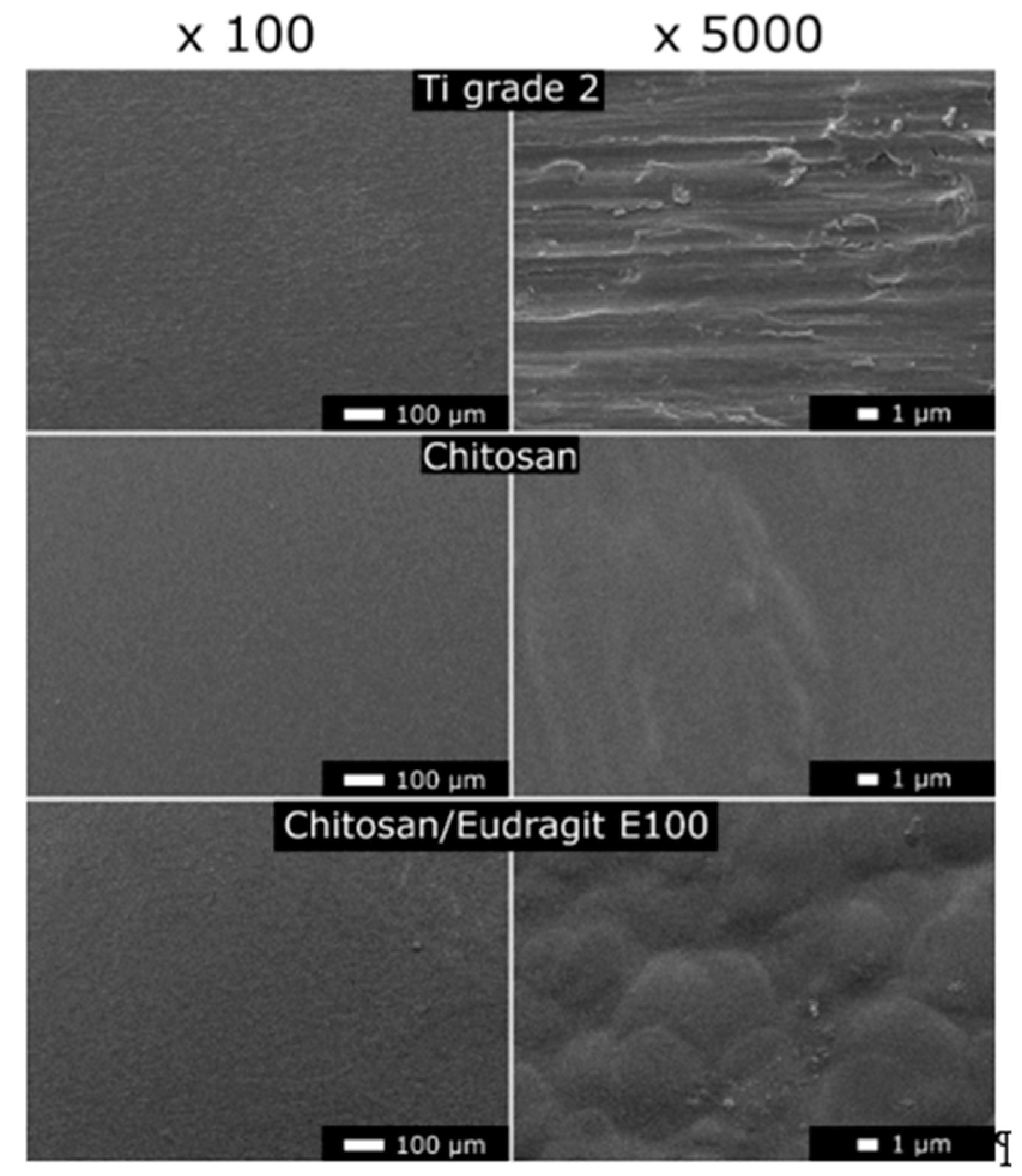 Coatings 10 00607 g009
