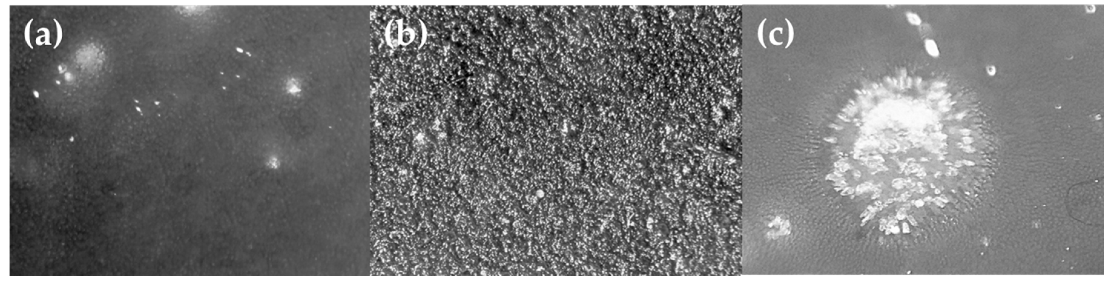 Coatings 10 00614 g006 Coatings 10 00614 g006