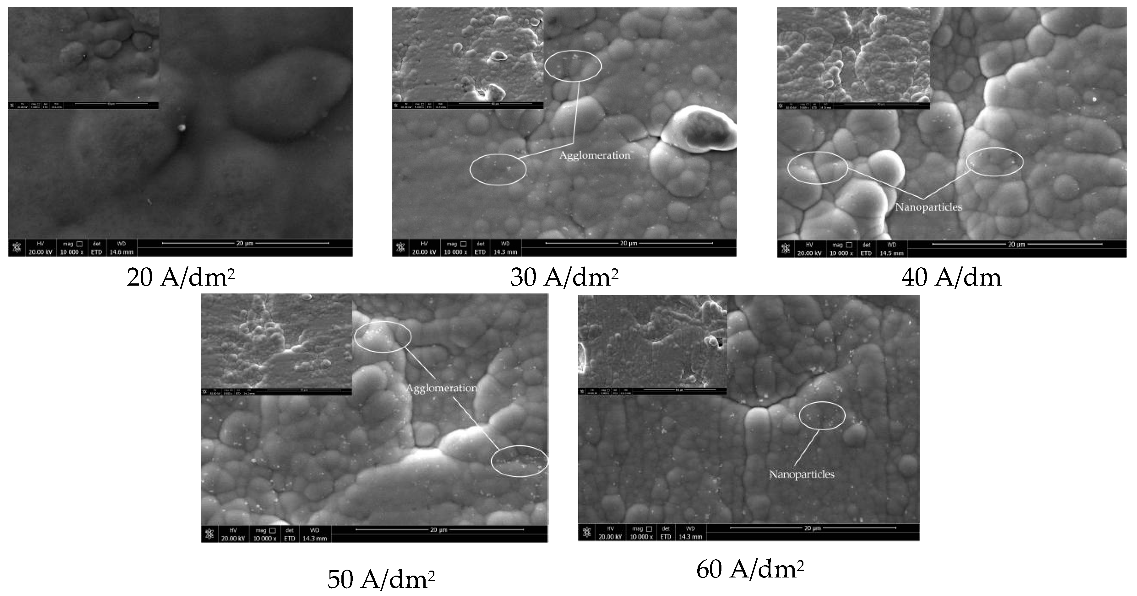 Coatings 10 00616 g002