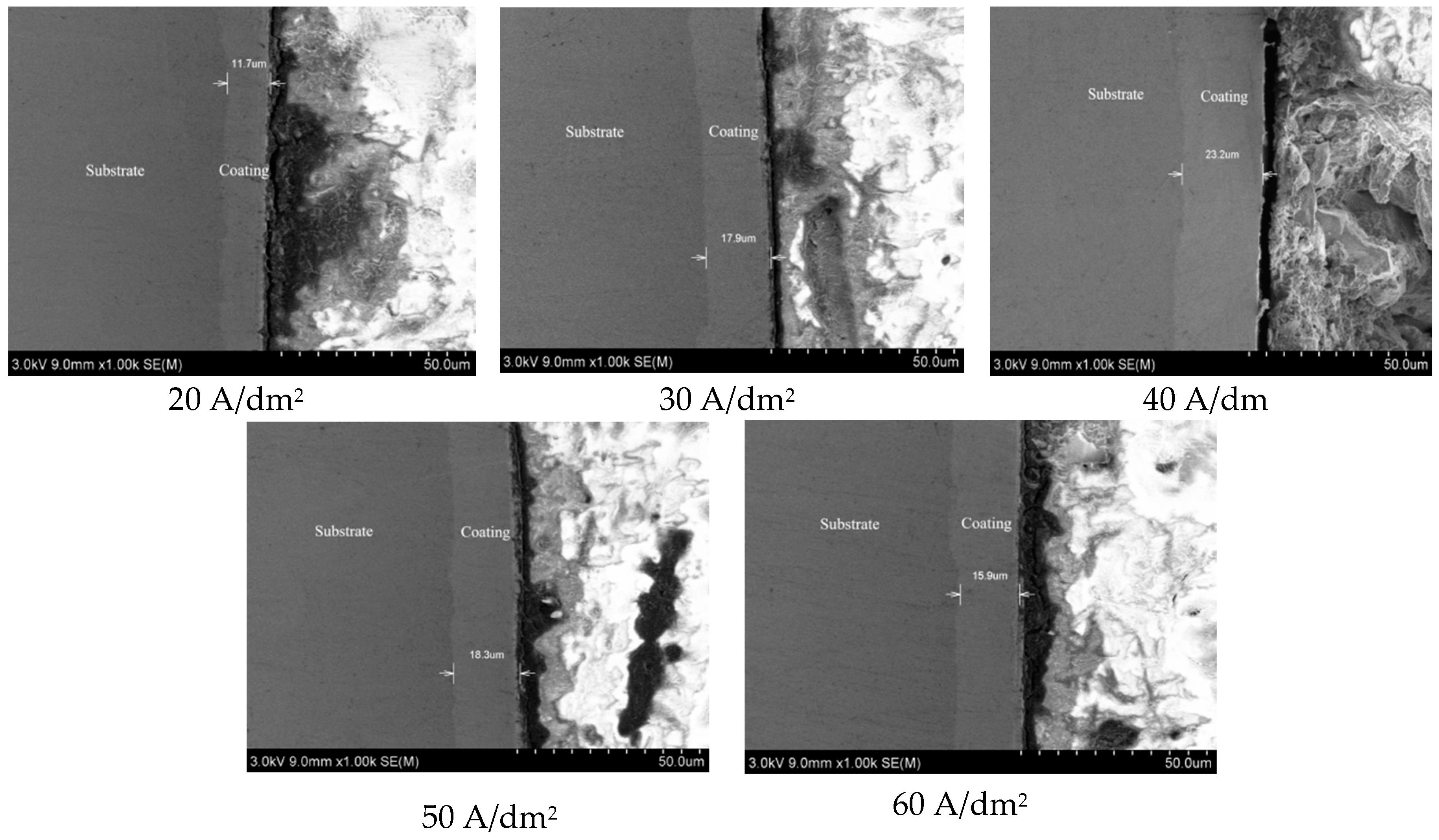 Coatings 10 00616 g003
