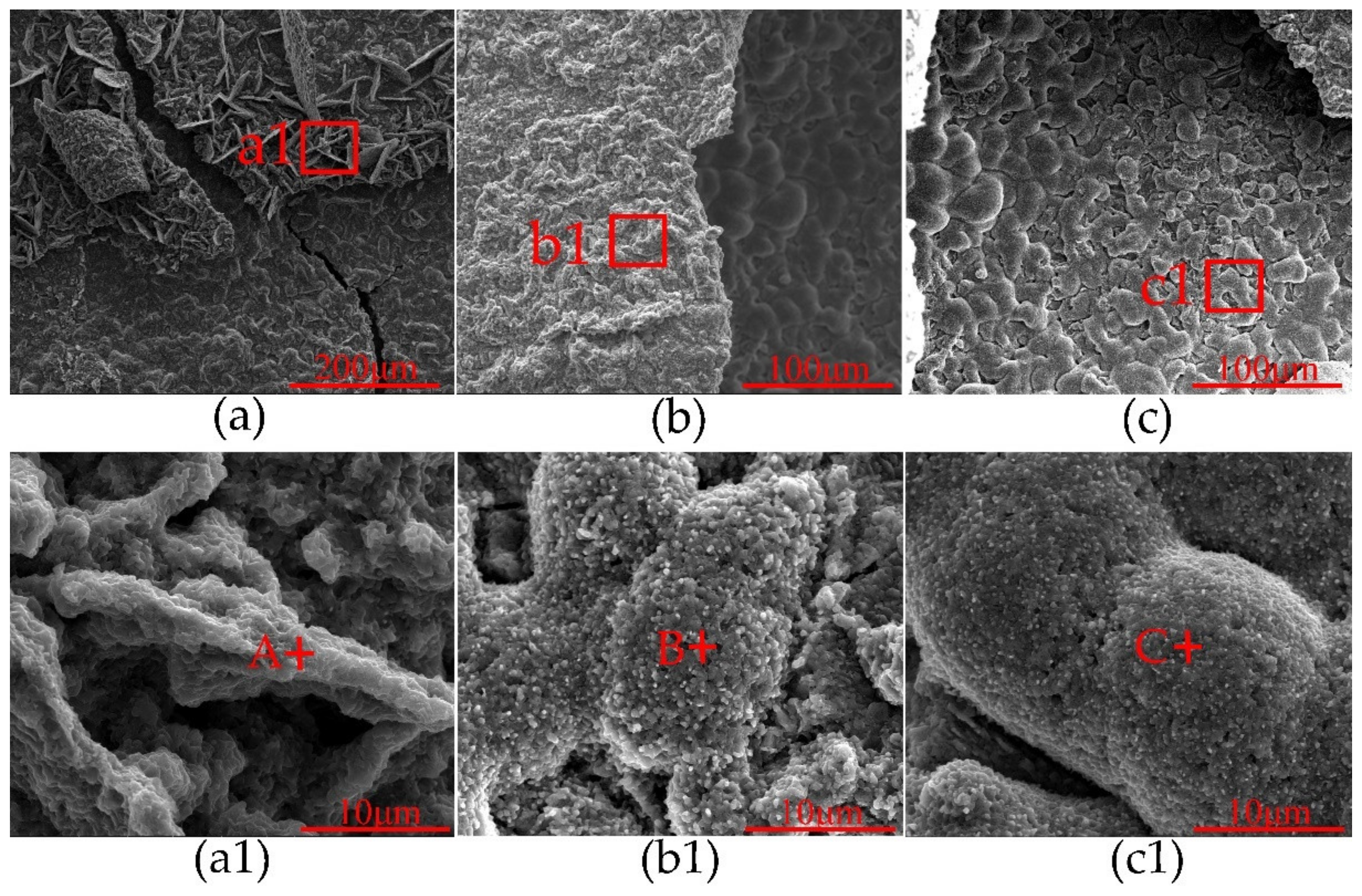Coatings 10 00617 g005