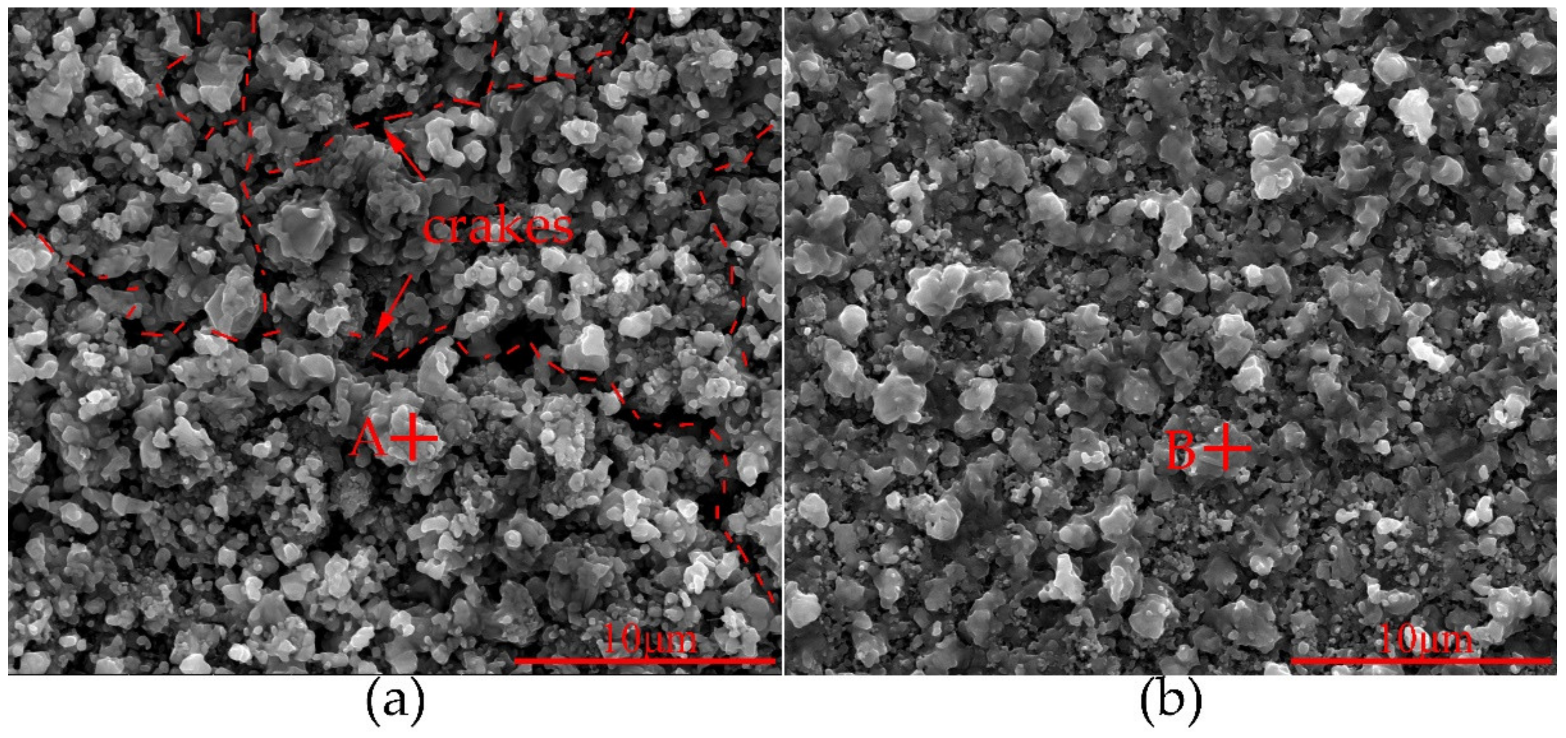 Coatings 10 00617 g006