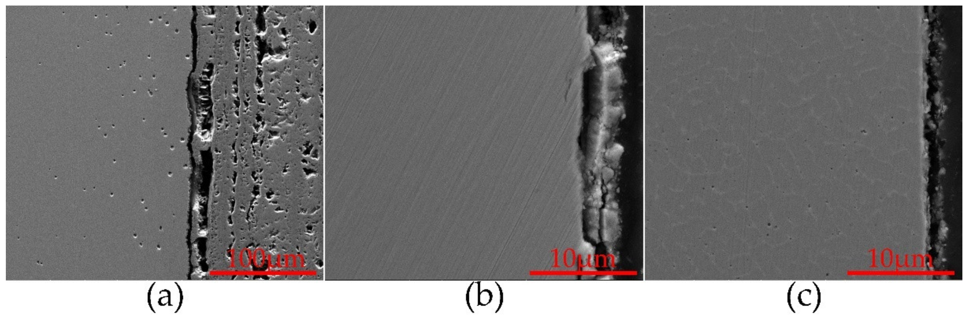 Coatings 10 00617 g007