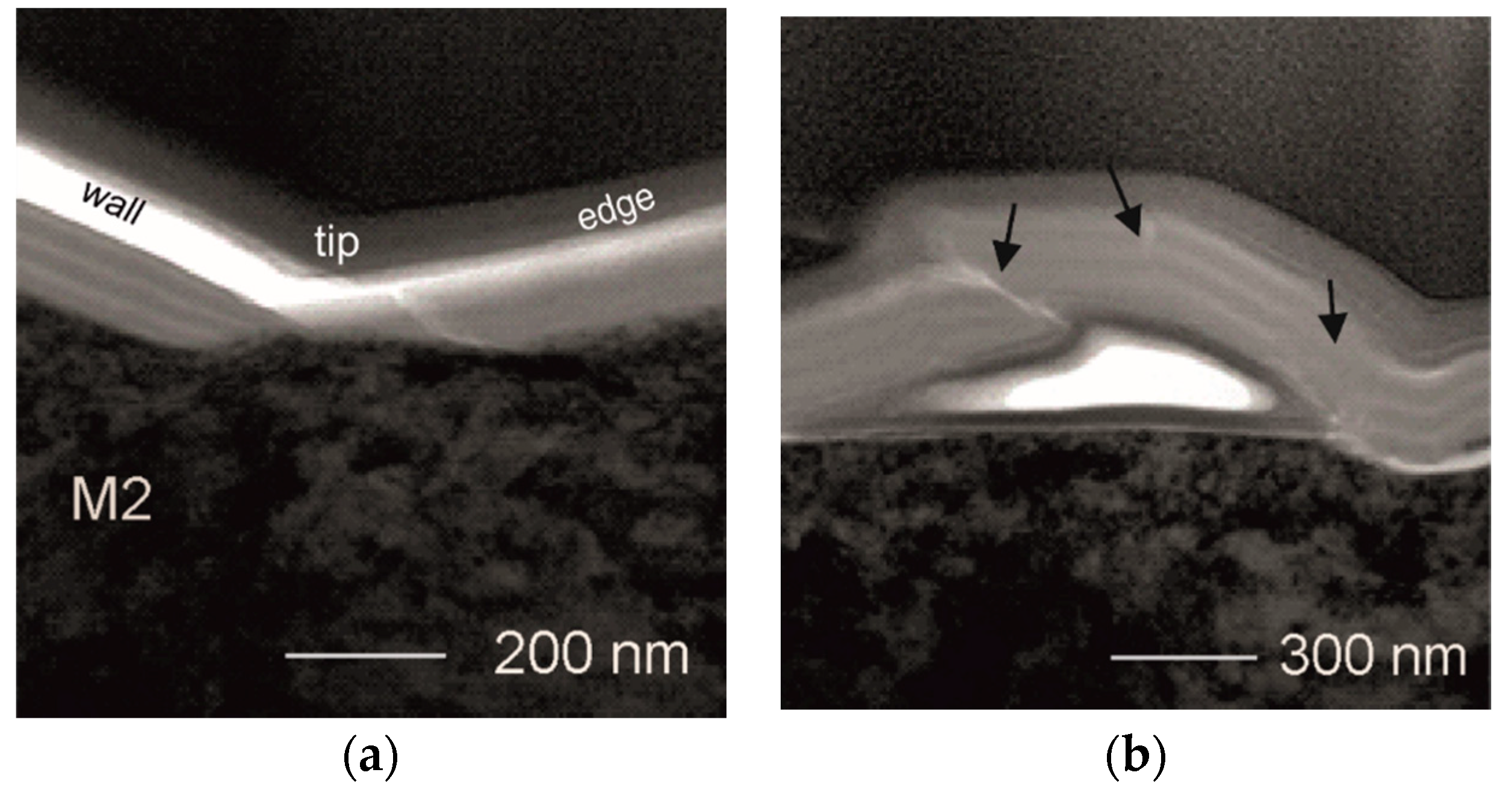 Coatings 10 00621 g005