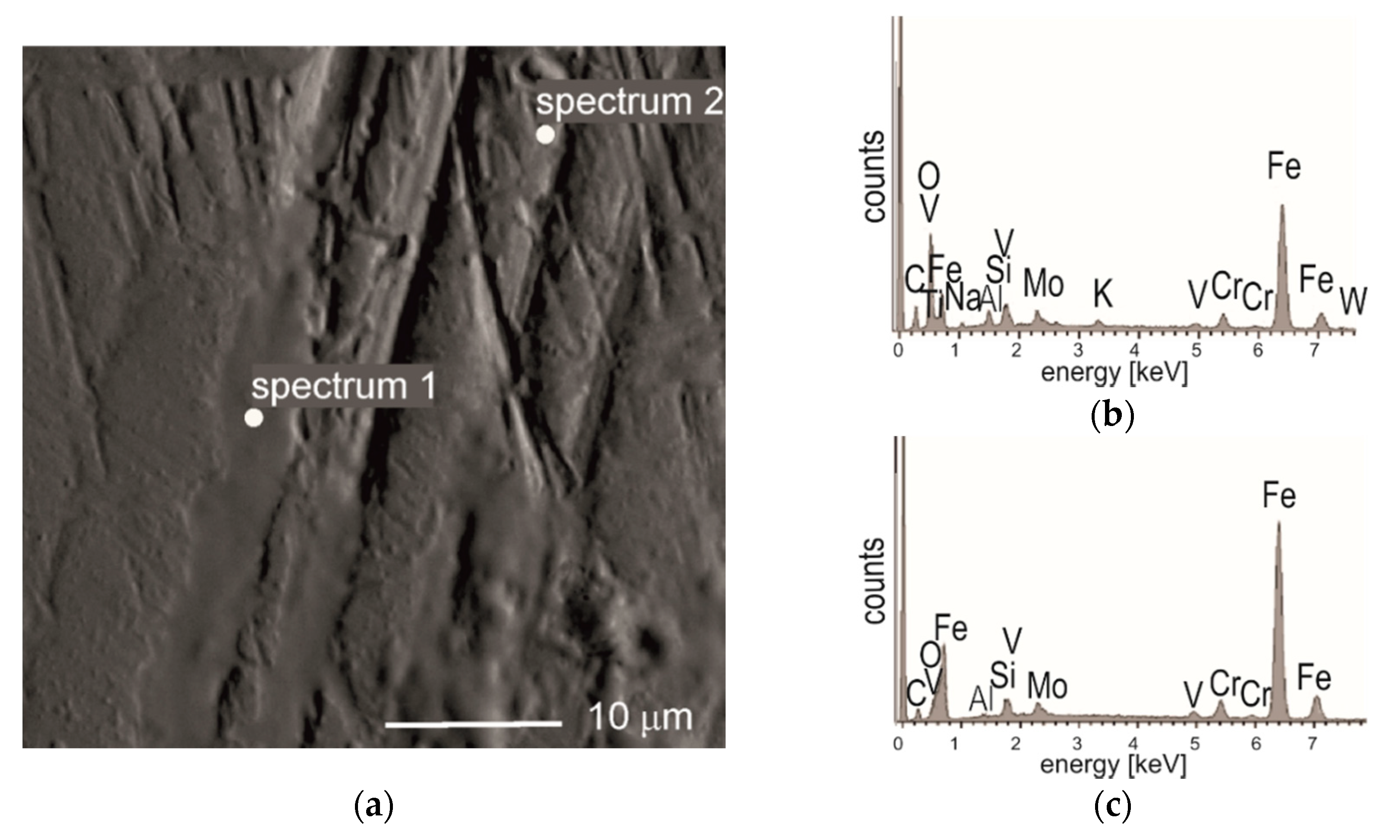 Coatings 10 00621 g008