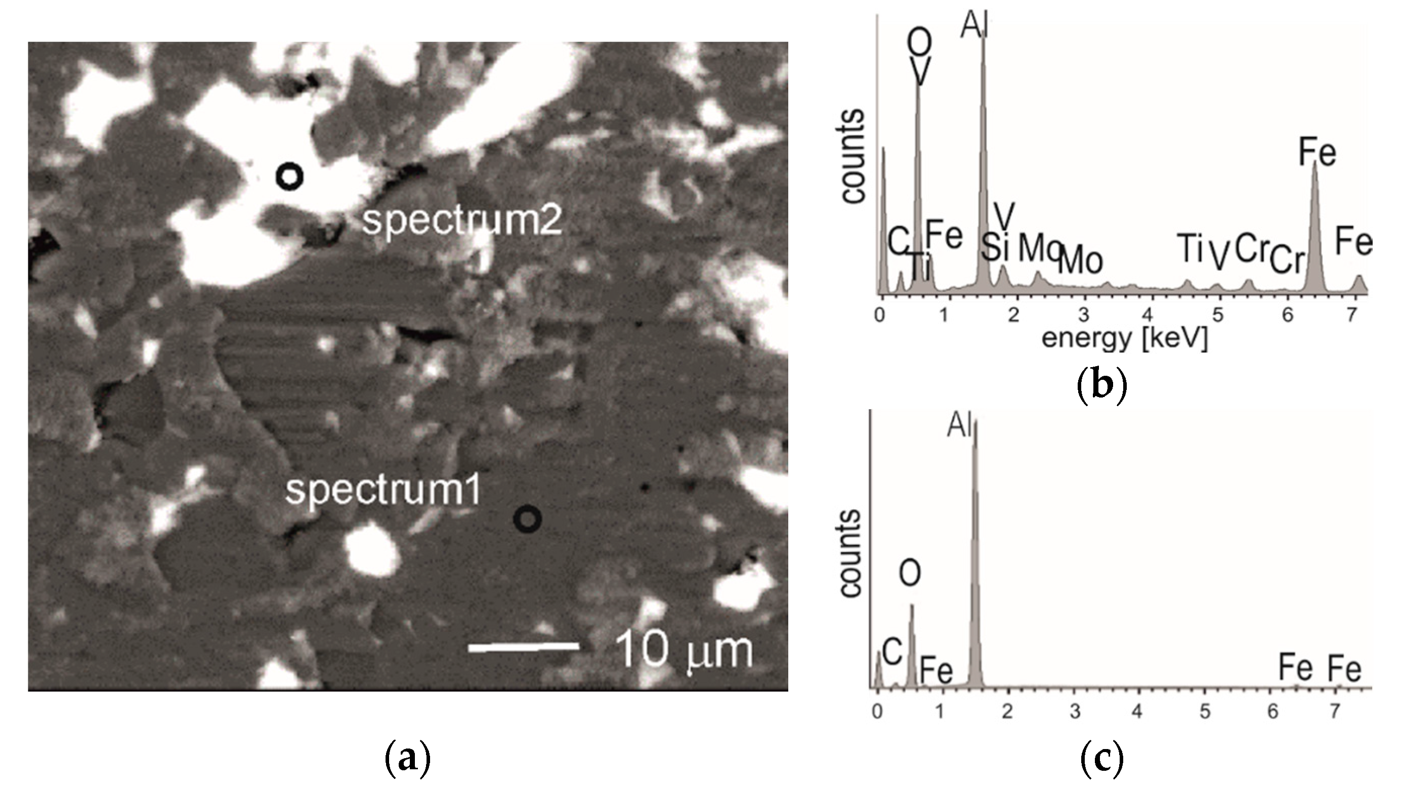 Coatings 10 00621 g009