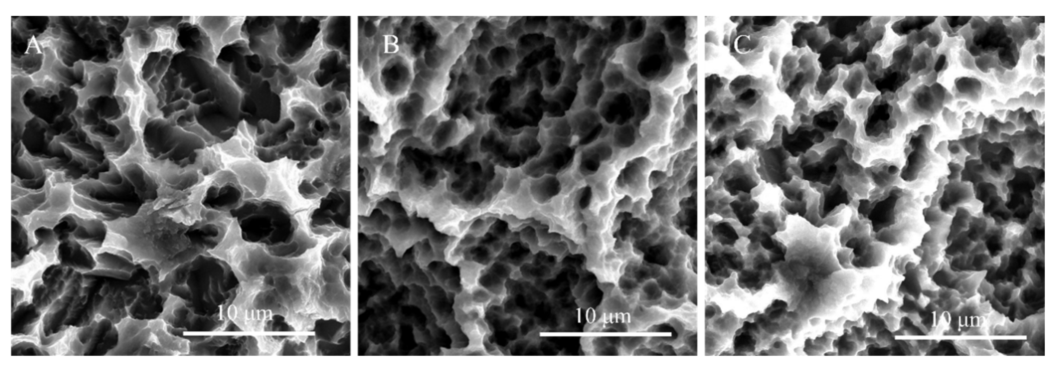 Coatings 10 00622 g001