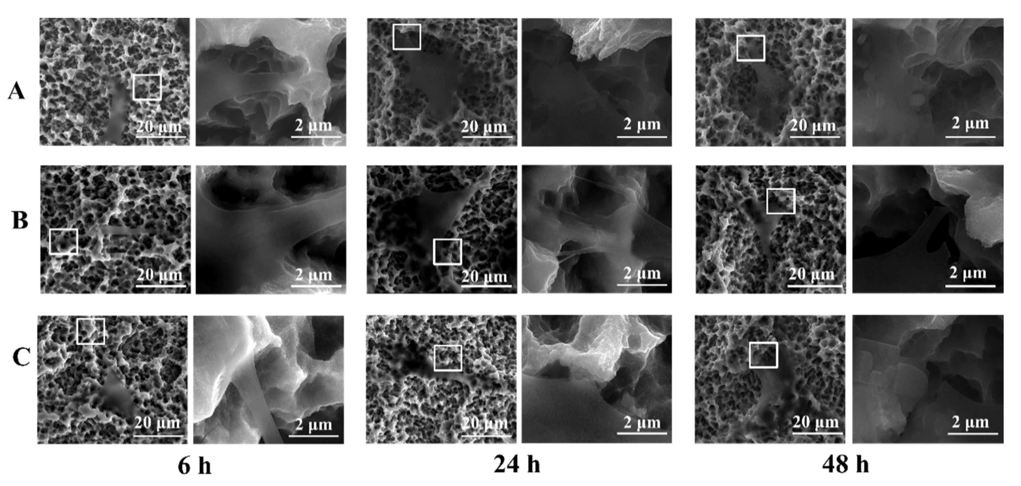 Coatings 10 00622 g005