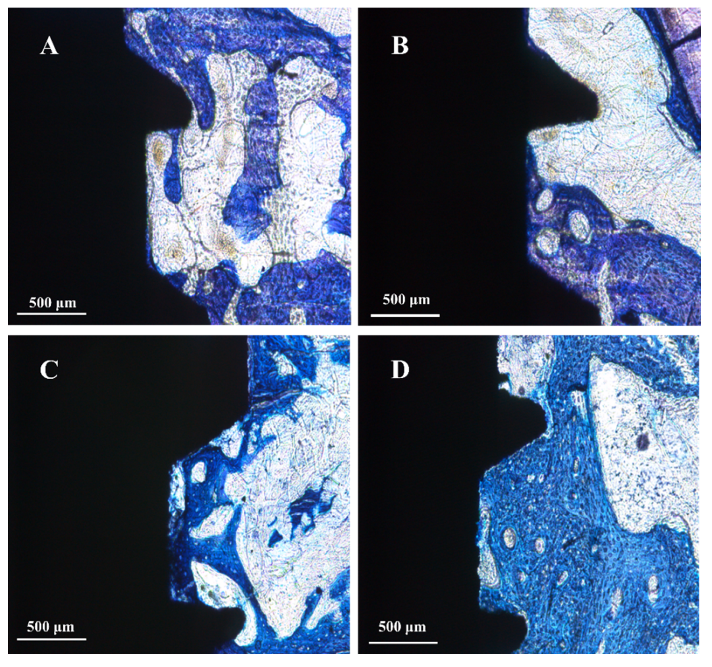 Coatings 10 00622 g008