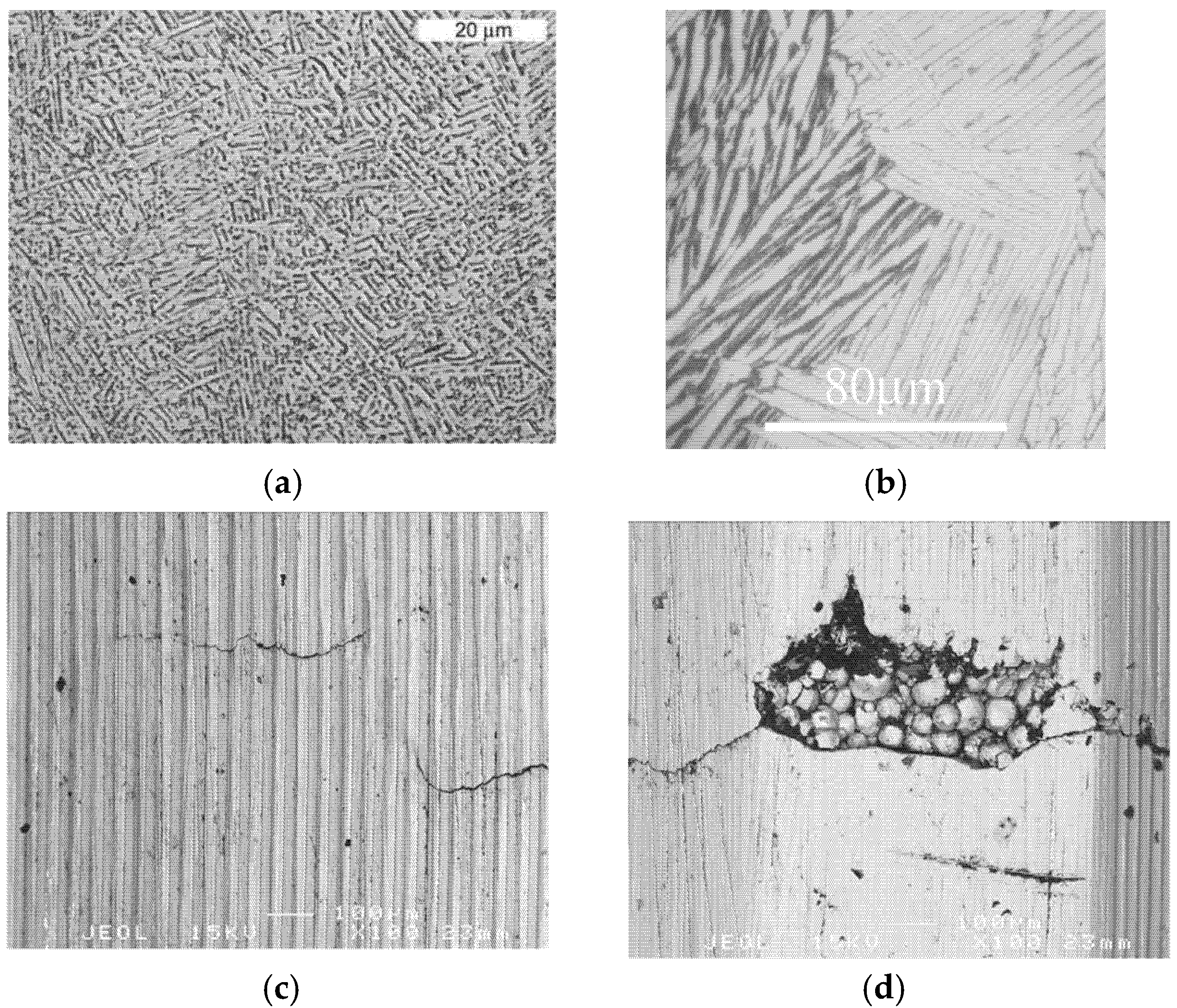 Coatings 10 00625 g002