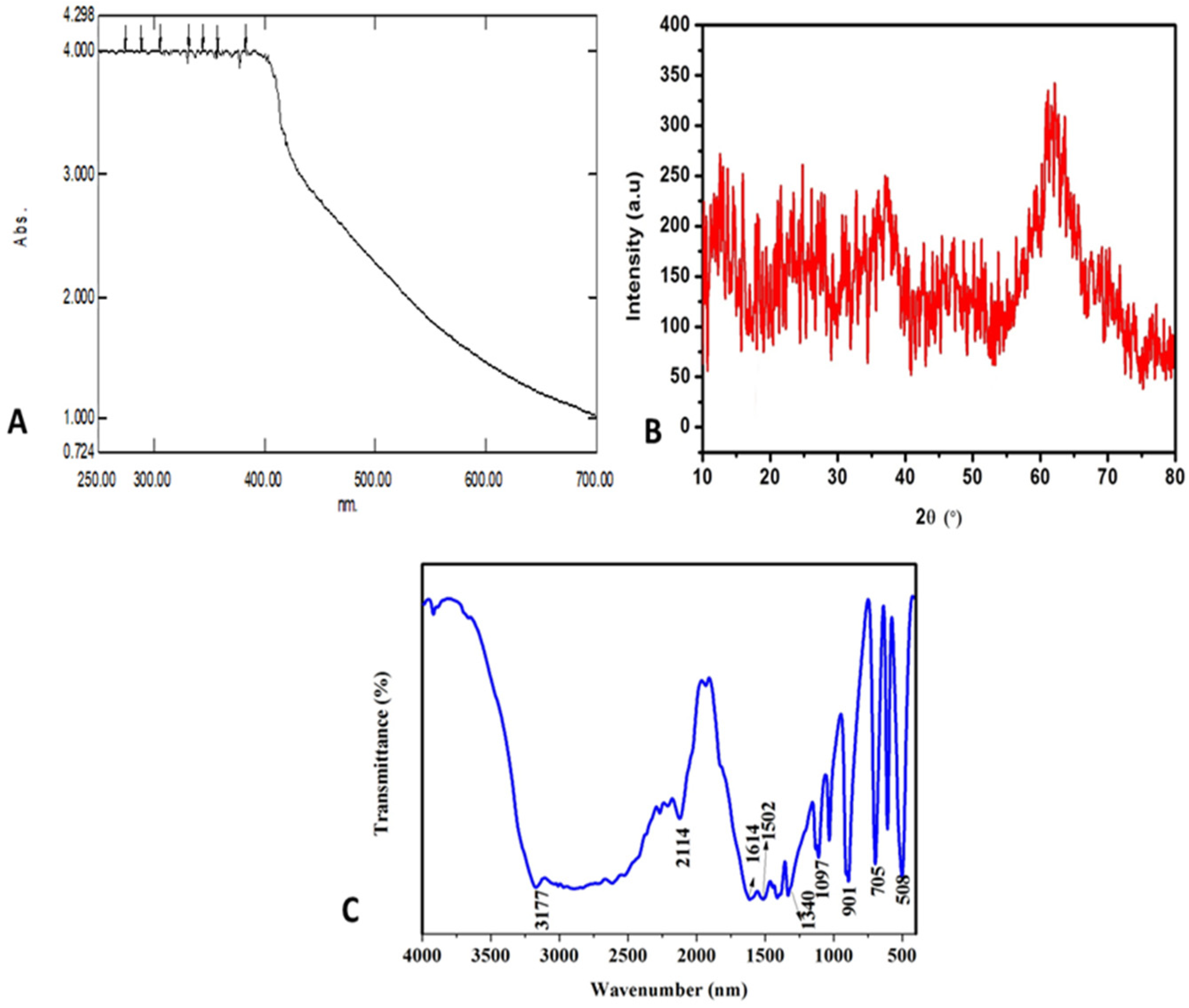 Coatings 10 00626 g001