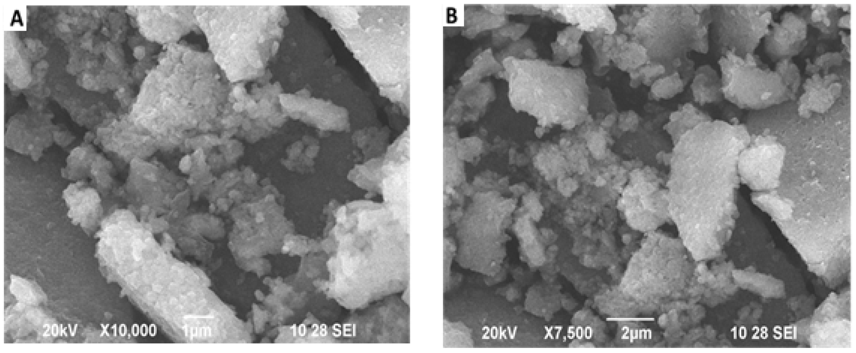 Coatings 10 00626 g002