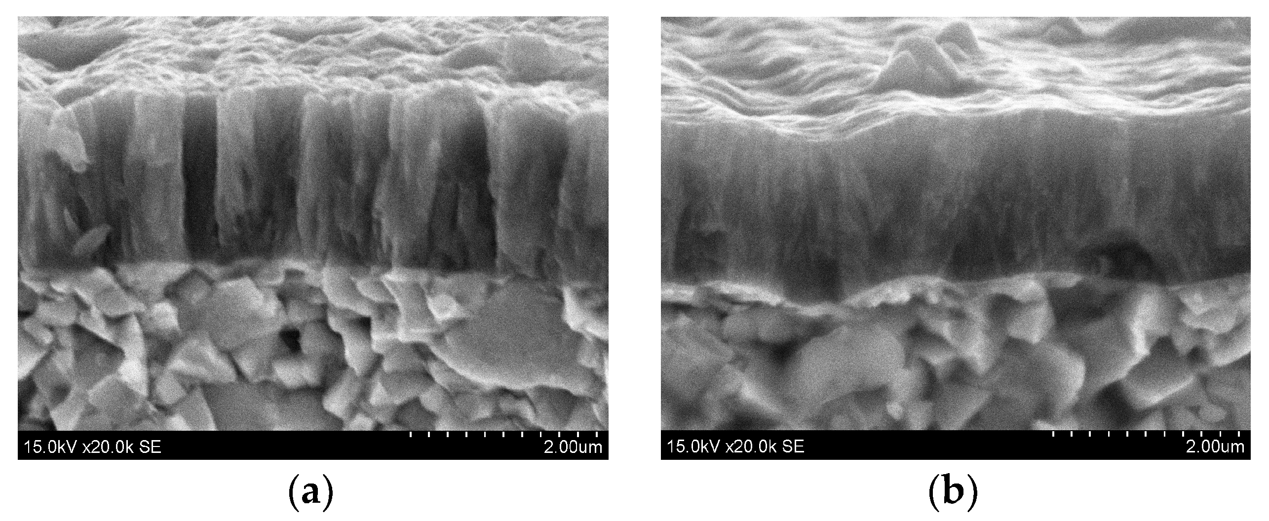 Coatings 10 00632 g003