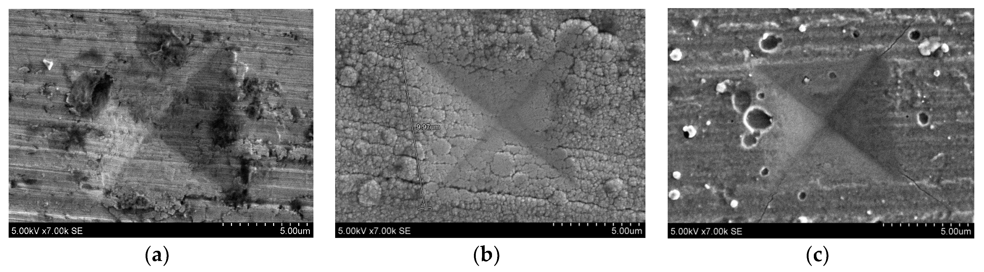Coatings 10 00632 g005