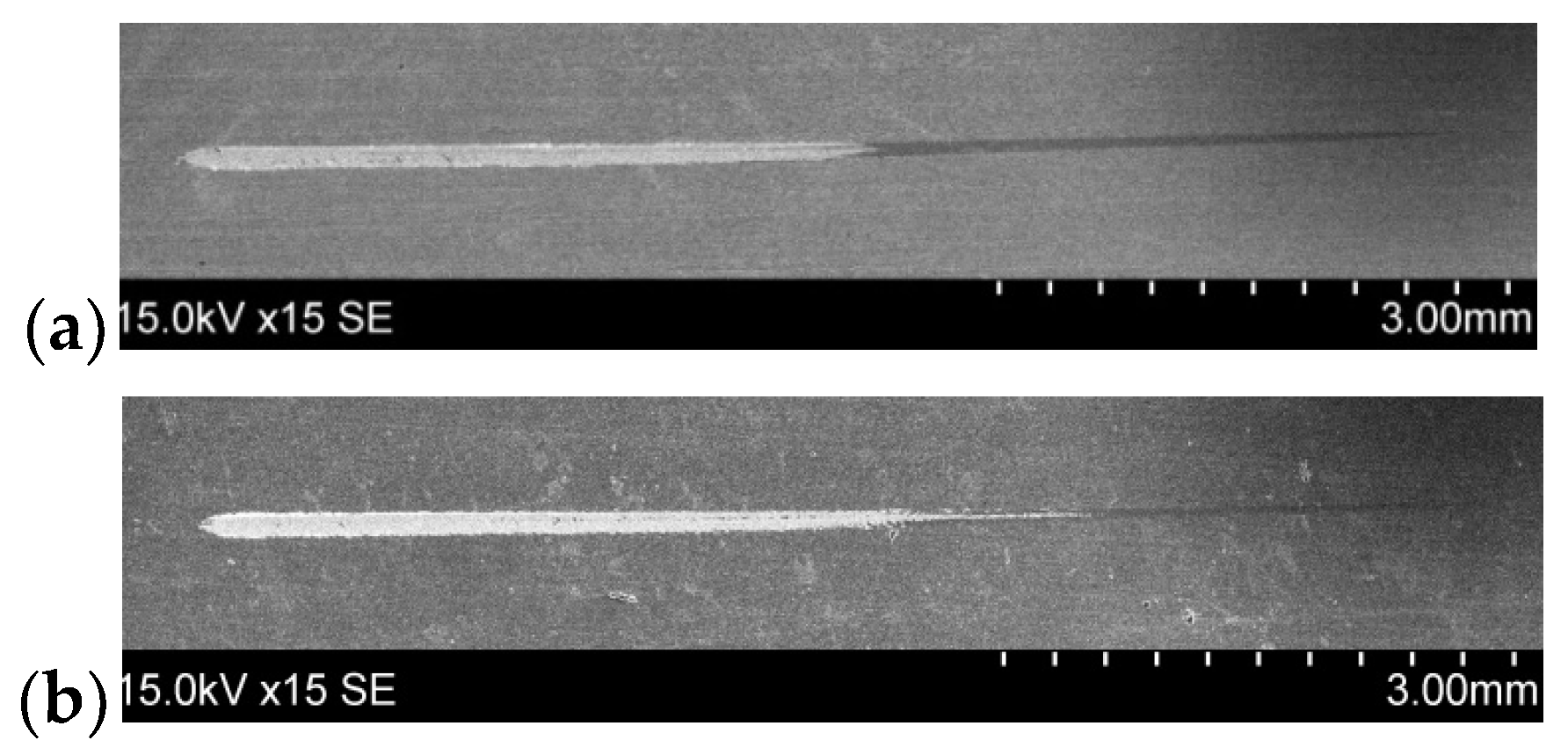 Coatings 10 00632 g006