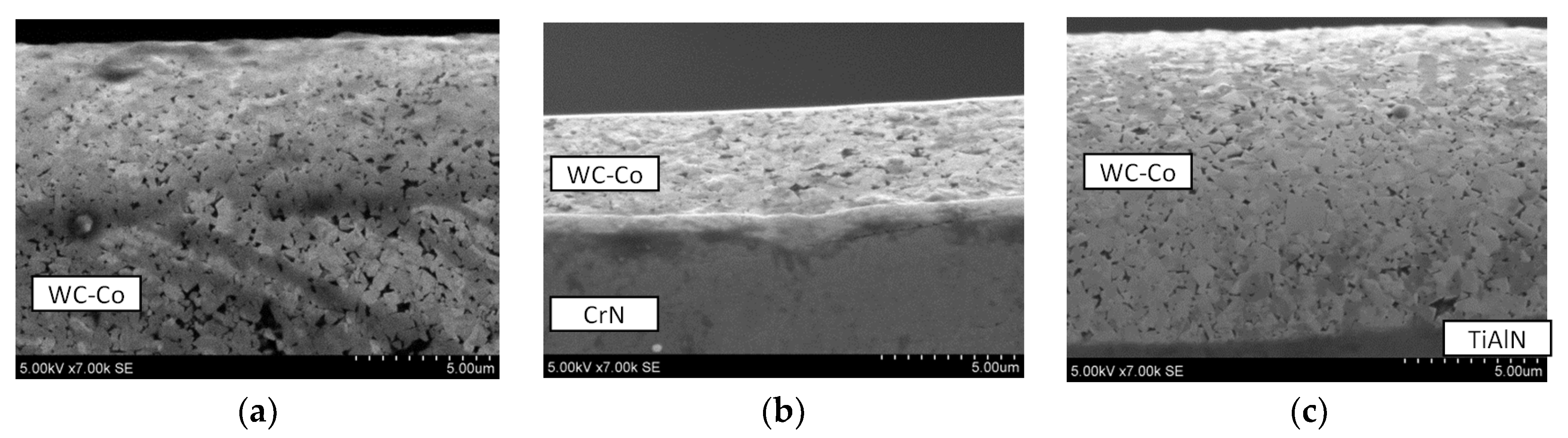 Coatings 10 00632 g011