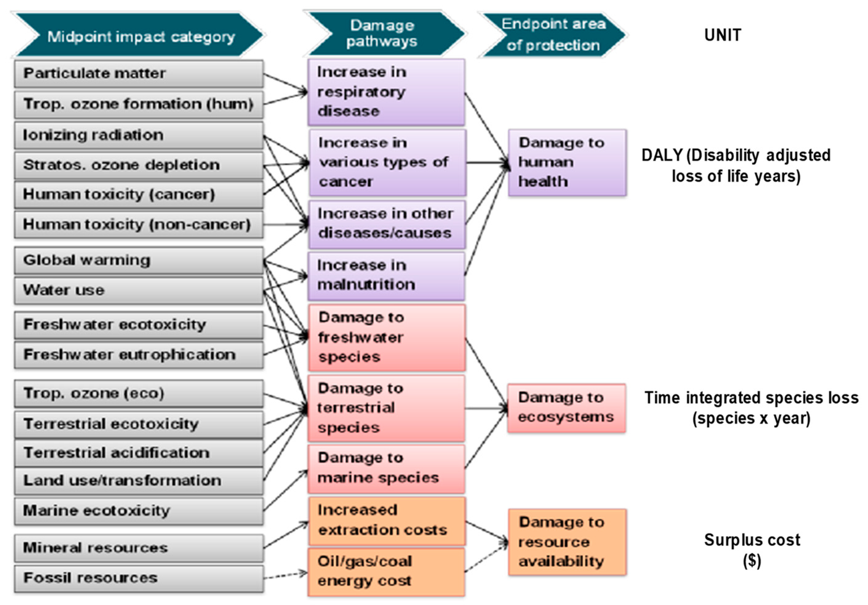 Coatings 10 00634 g002