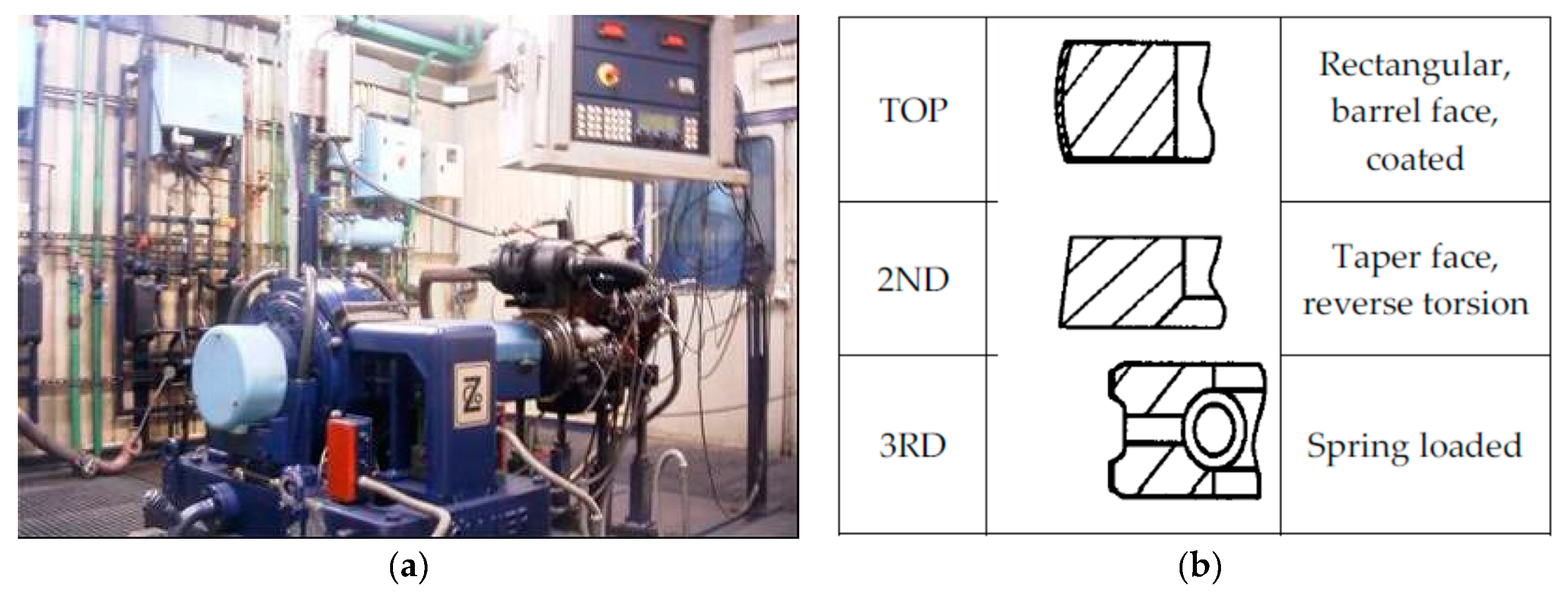 Coatings 10 00634 g007