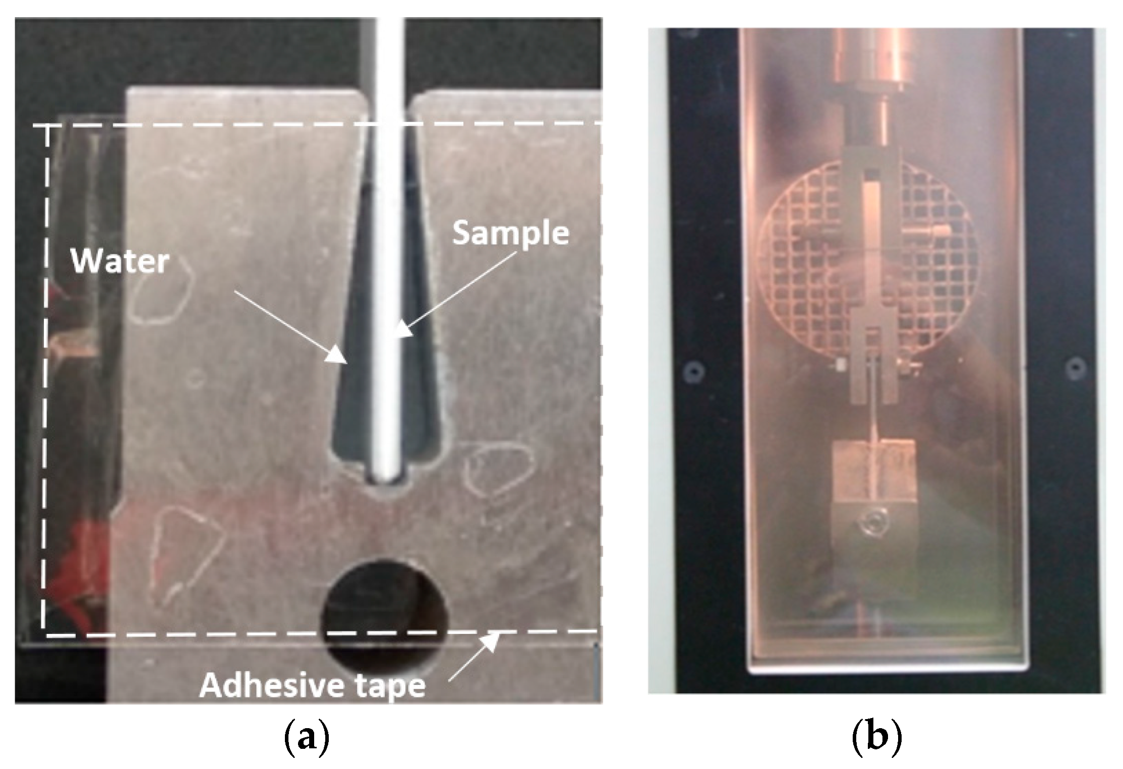 Coatings 10 00636 g004