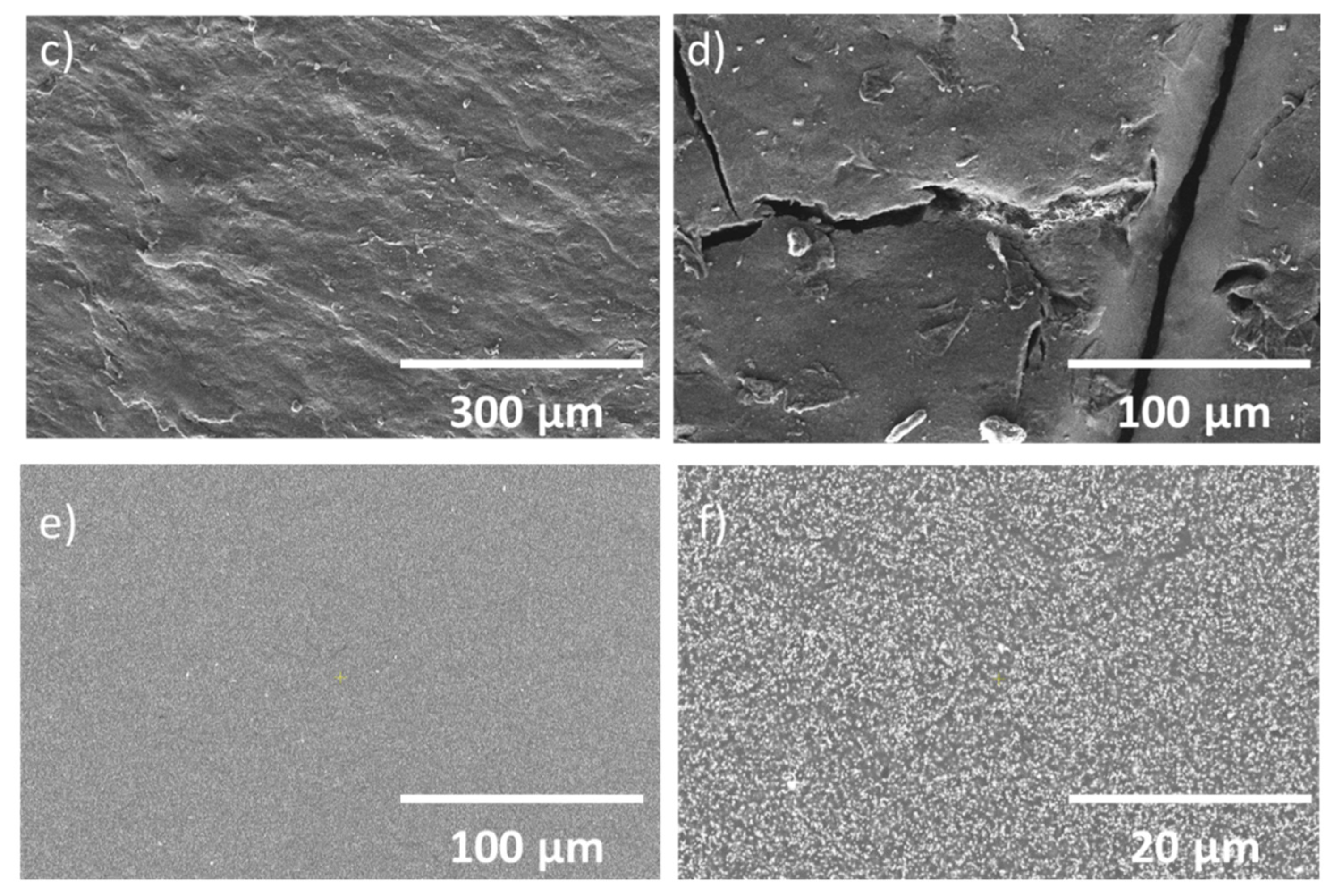 Coatings 10 00636 g005b