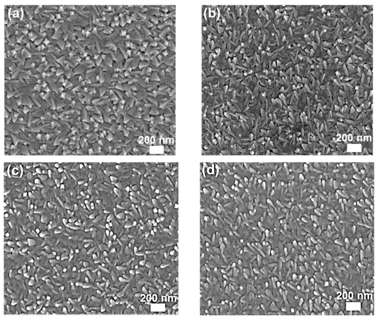 Coatings 10 00637 g002
