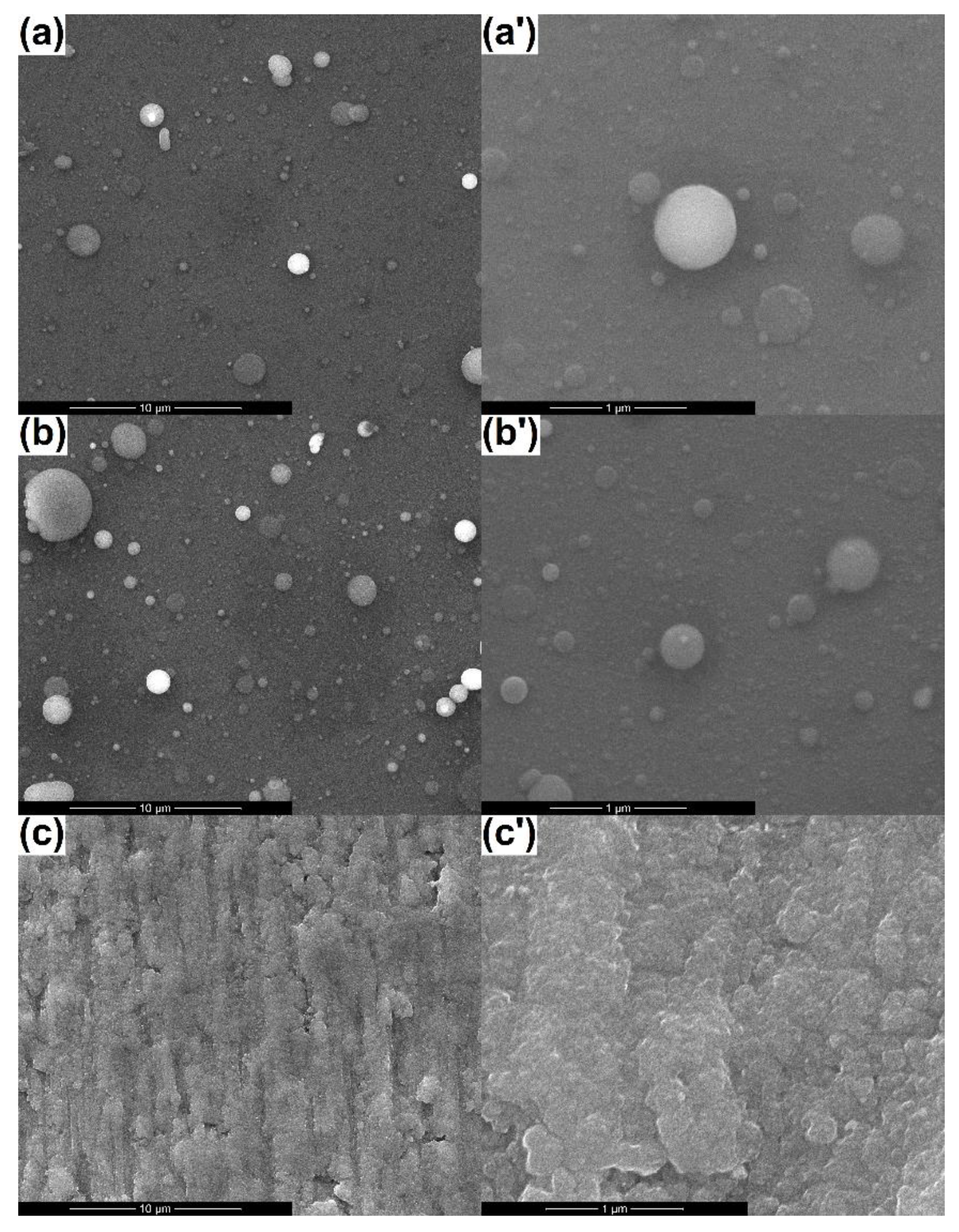Coatings 10 00642 g002