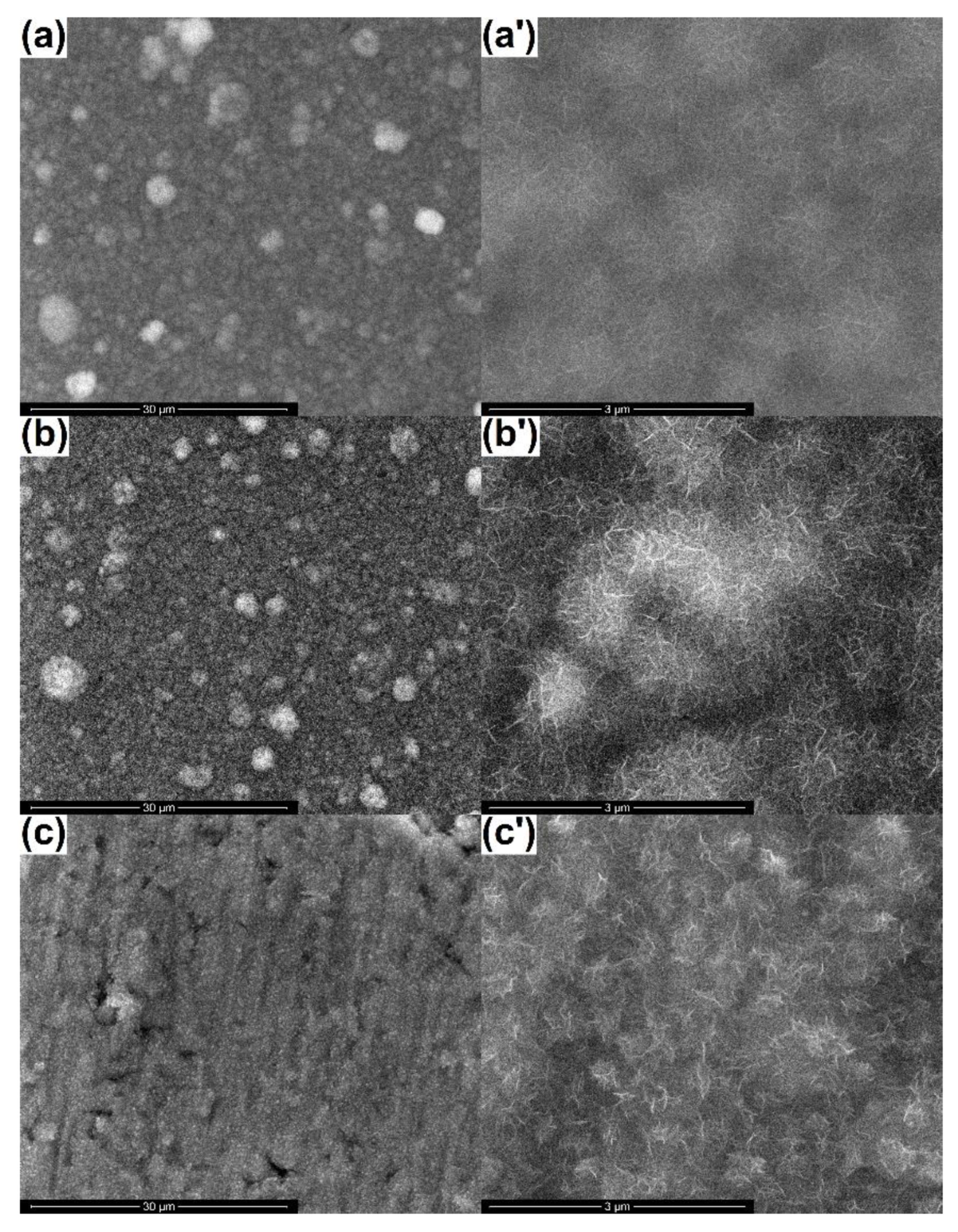 Coatings 10 00642 g003