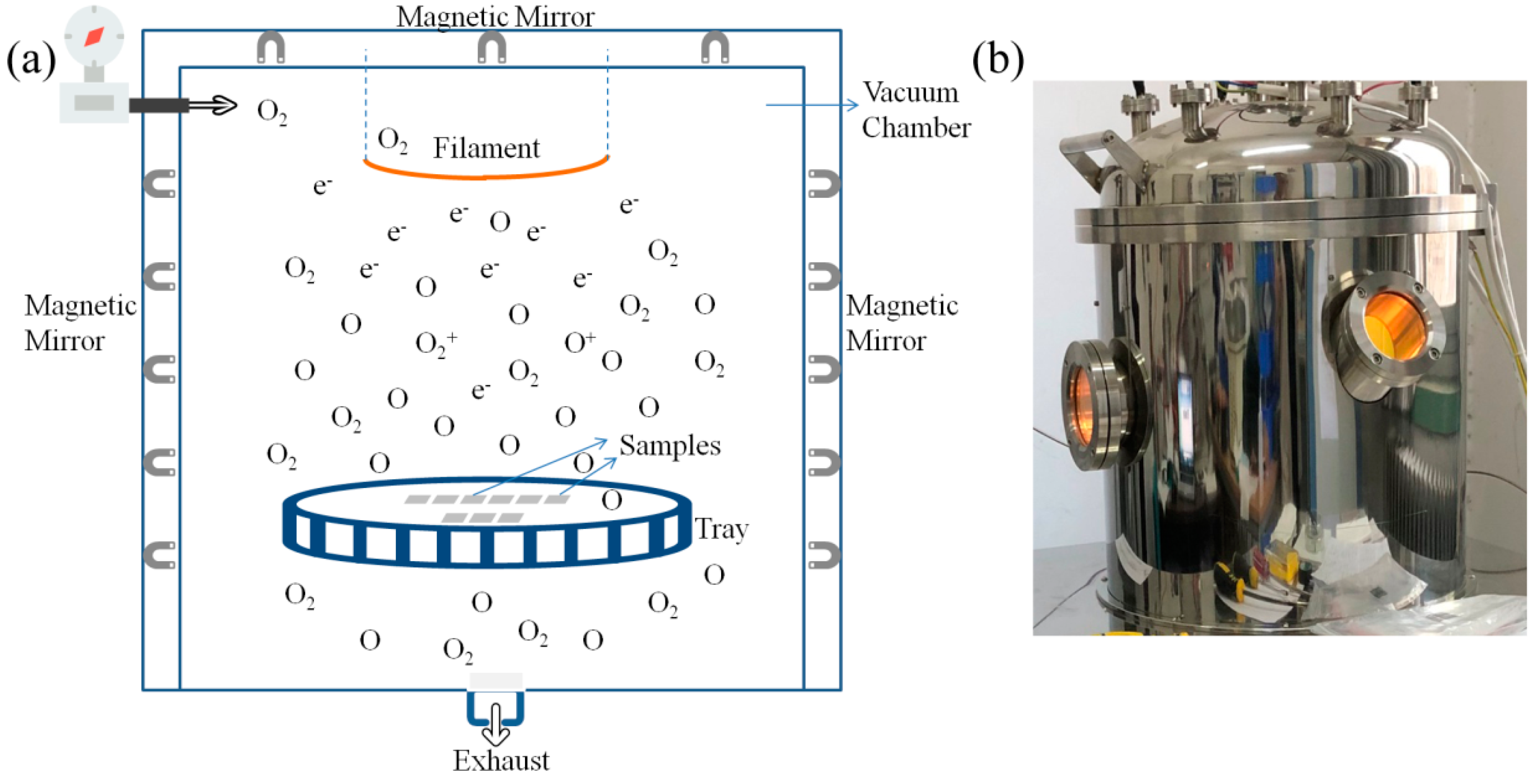 Coatings 10 00644 g003