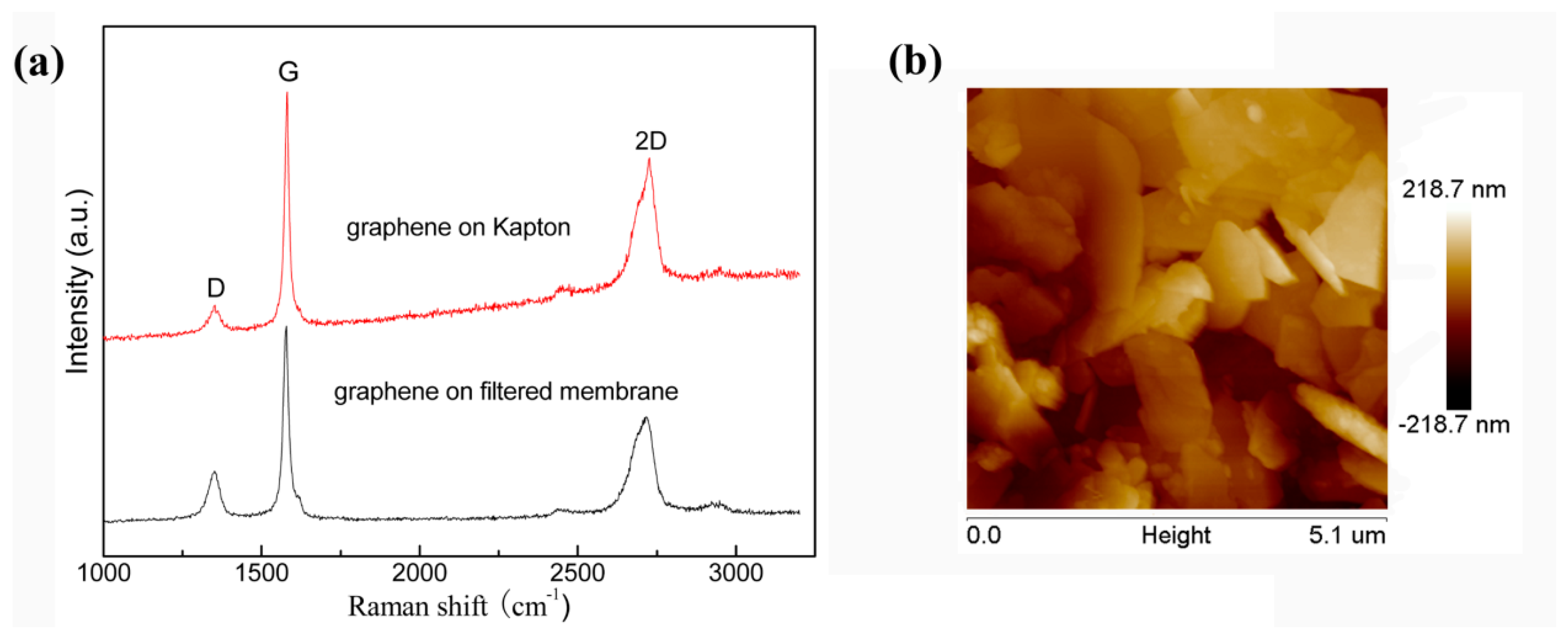 Coatings 10 00644 g005