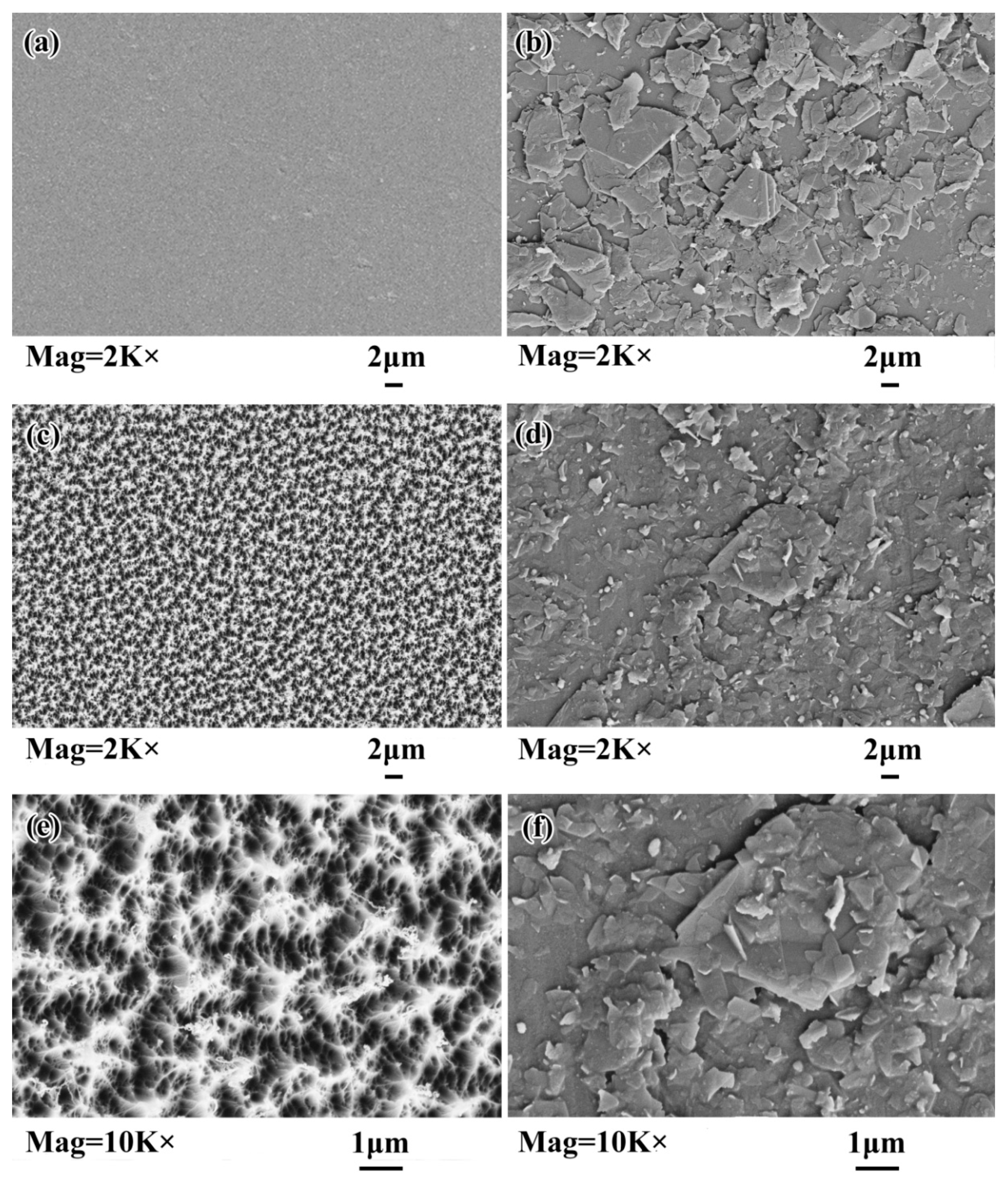 Coatings 10 00644 g010