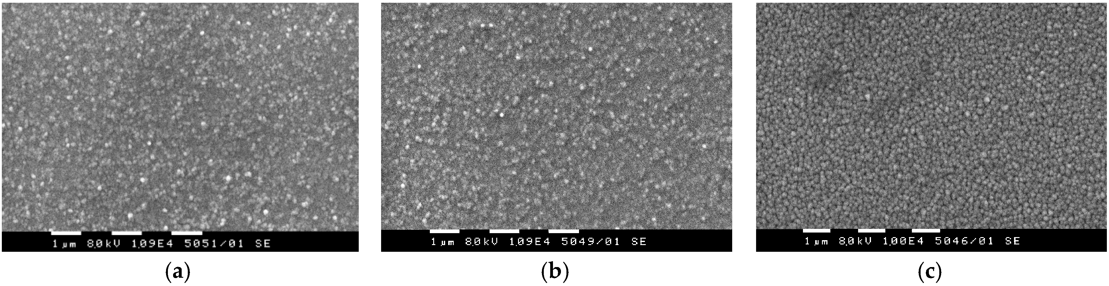 Coatings 10 00650 g002