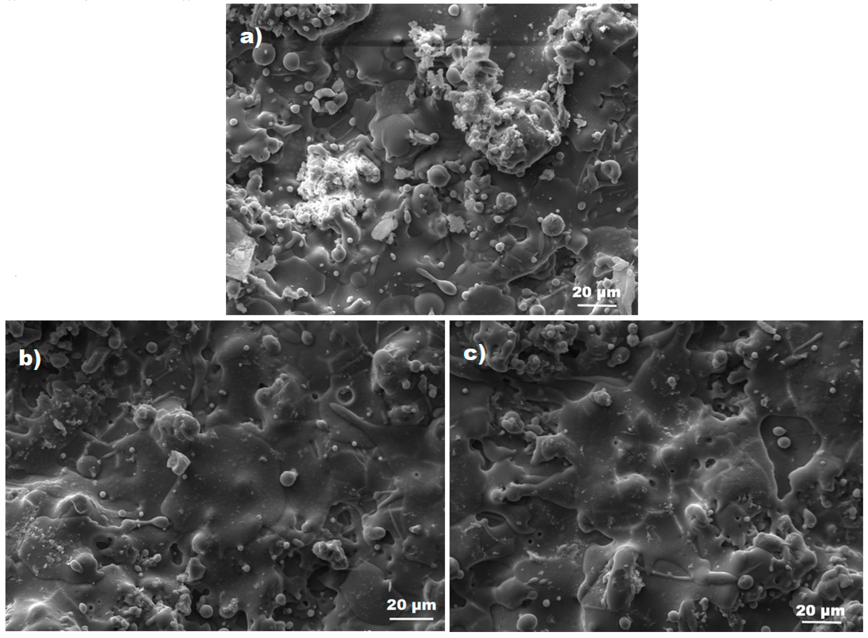 Coatings 10 00652 g002