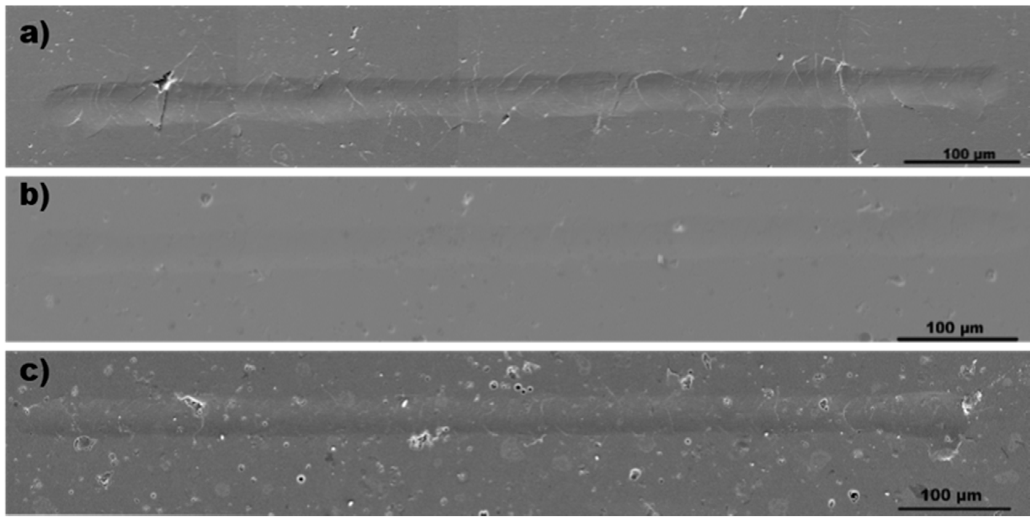 Coatings 10 00652 g003