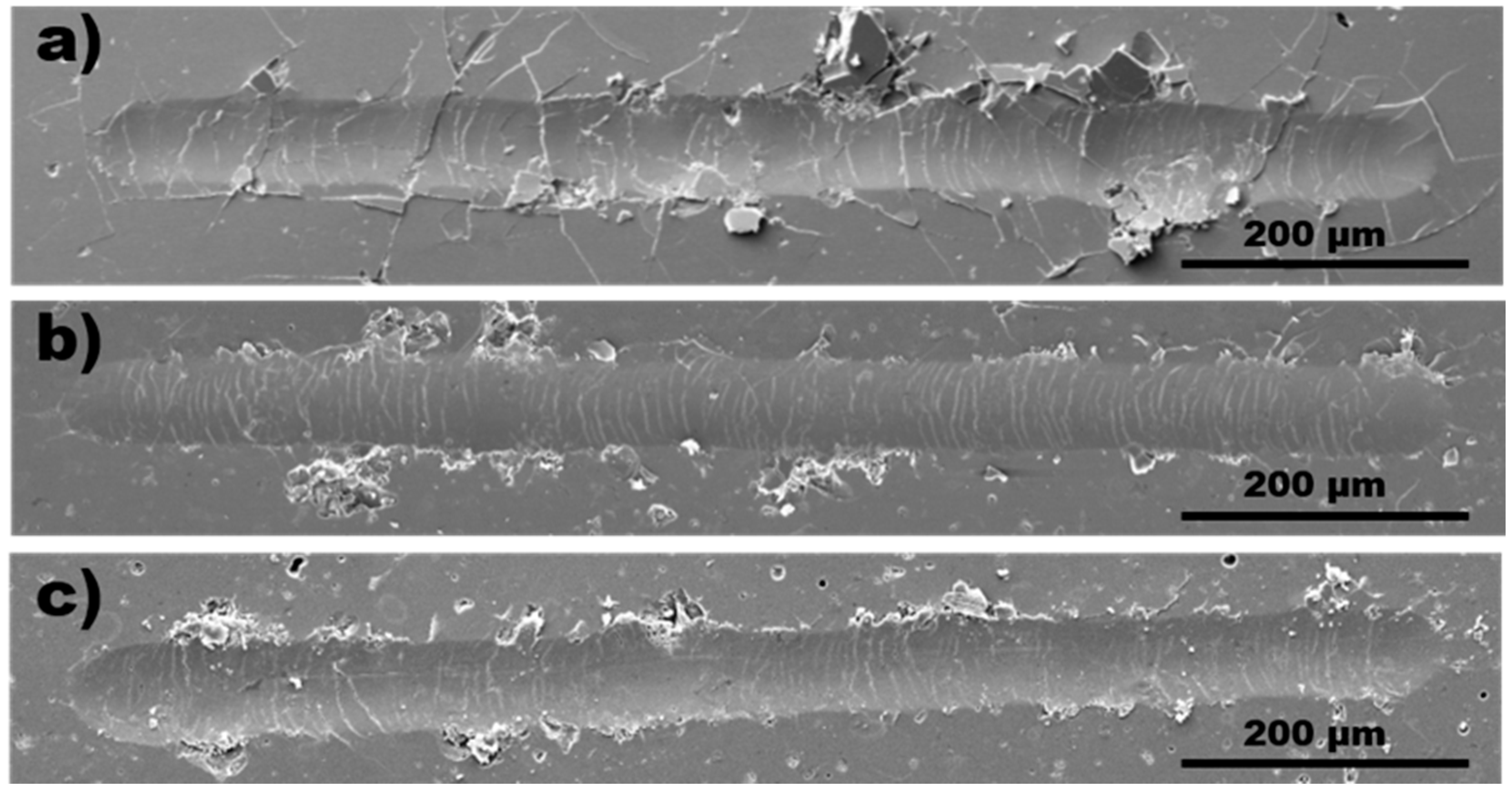 Coatings 10 00652 g004
