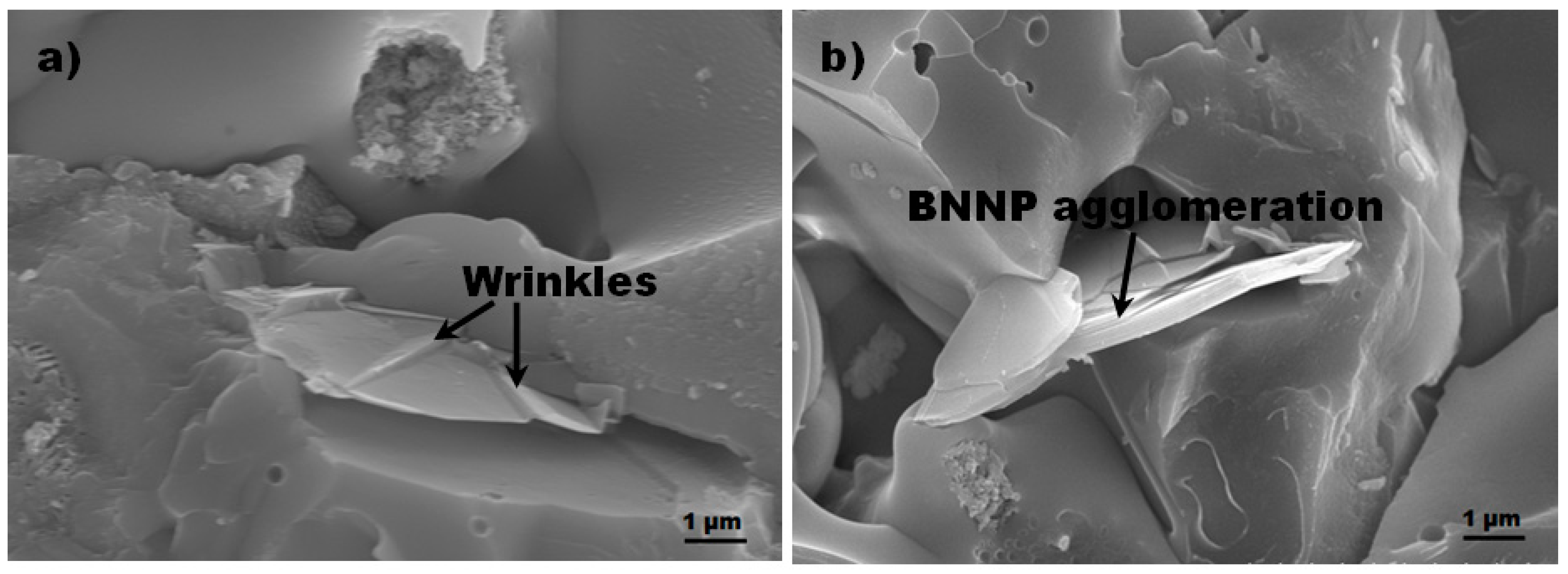 Coatings 10 00652 g009