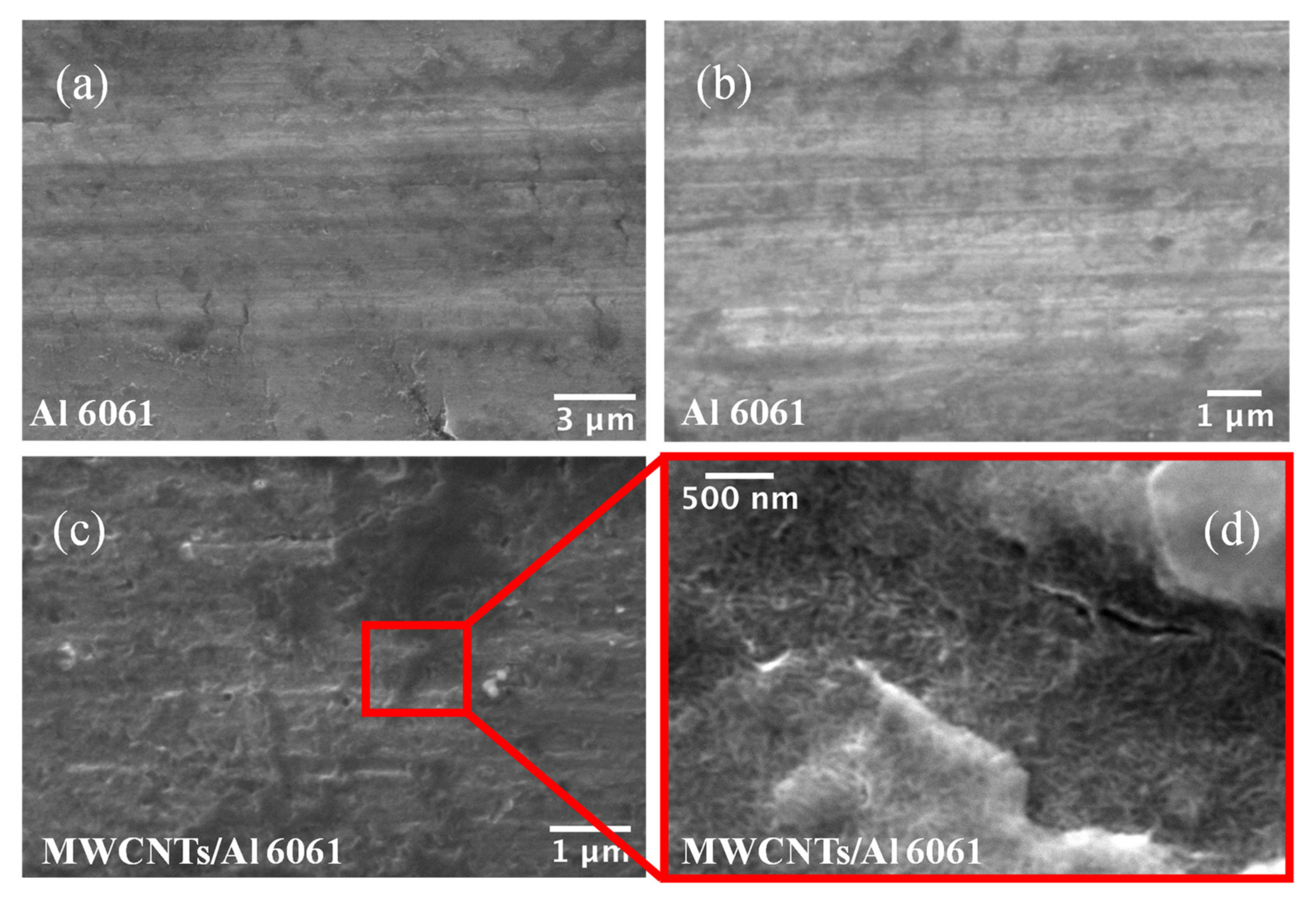 Coatings 10 00656 g003